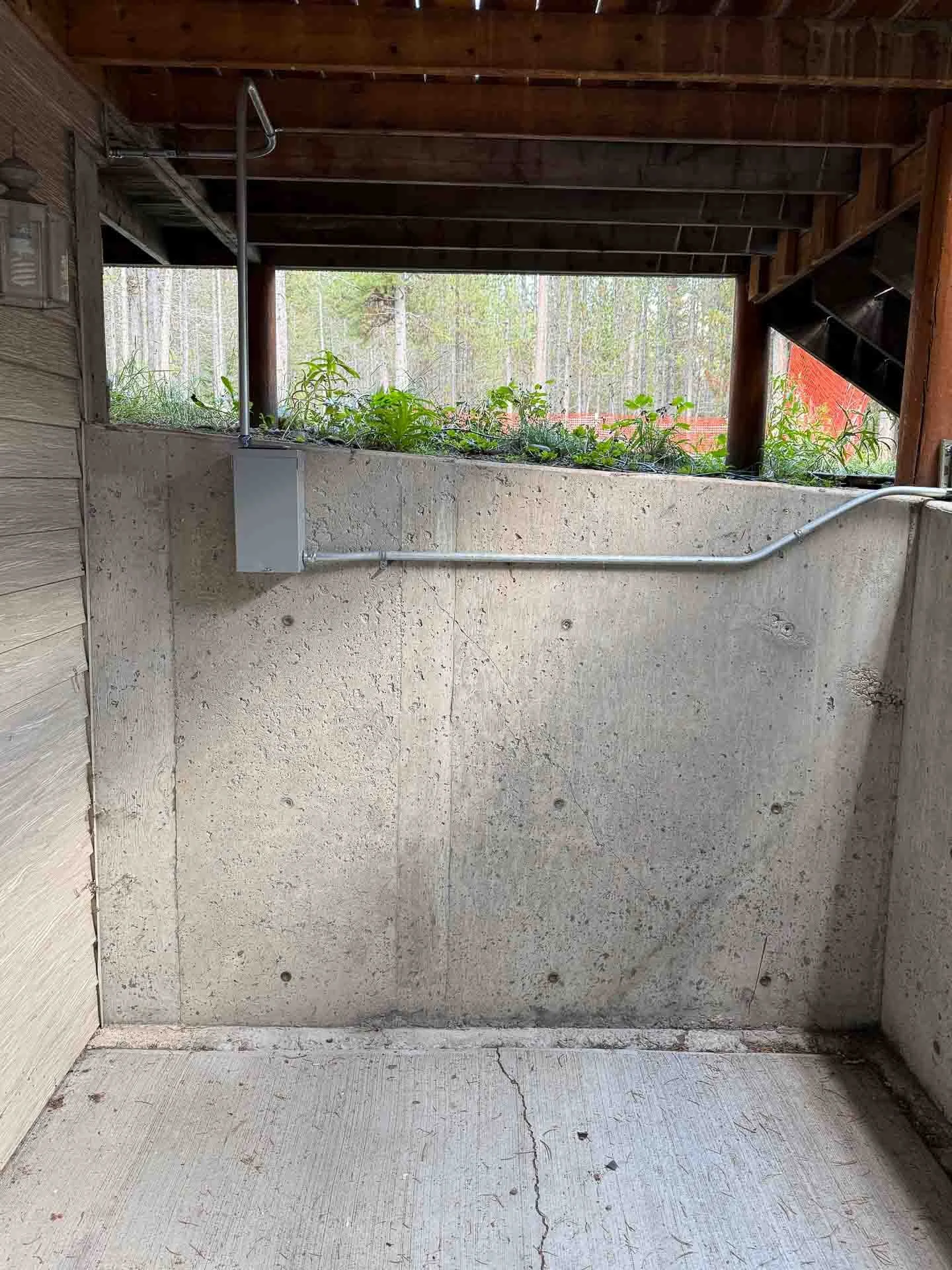 Concrete wall with an electrical box, conduit, and greenery above, under a wooden ceiling, with a wooded area visible through an open window.