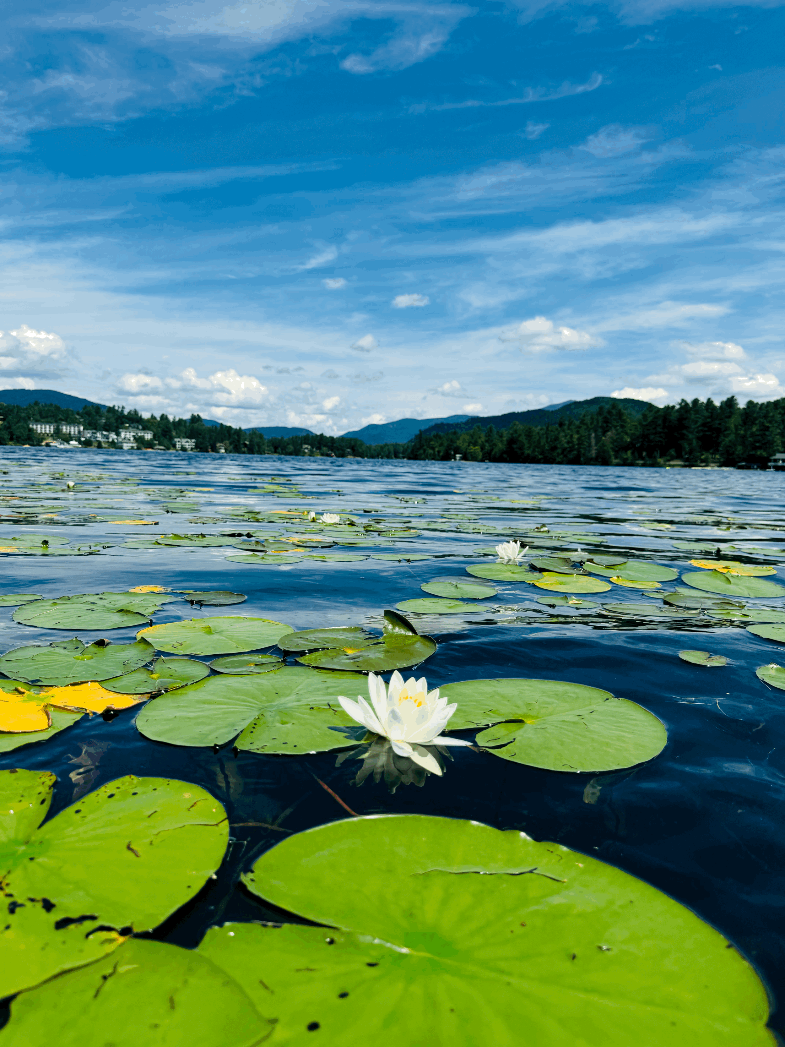 Are You Living in the Present or Just on Autopilot?