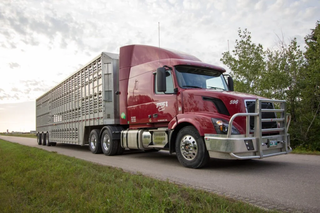 Livestock Trucking Operation