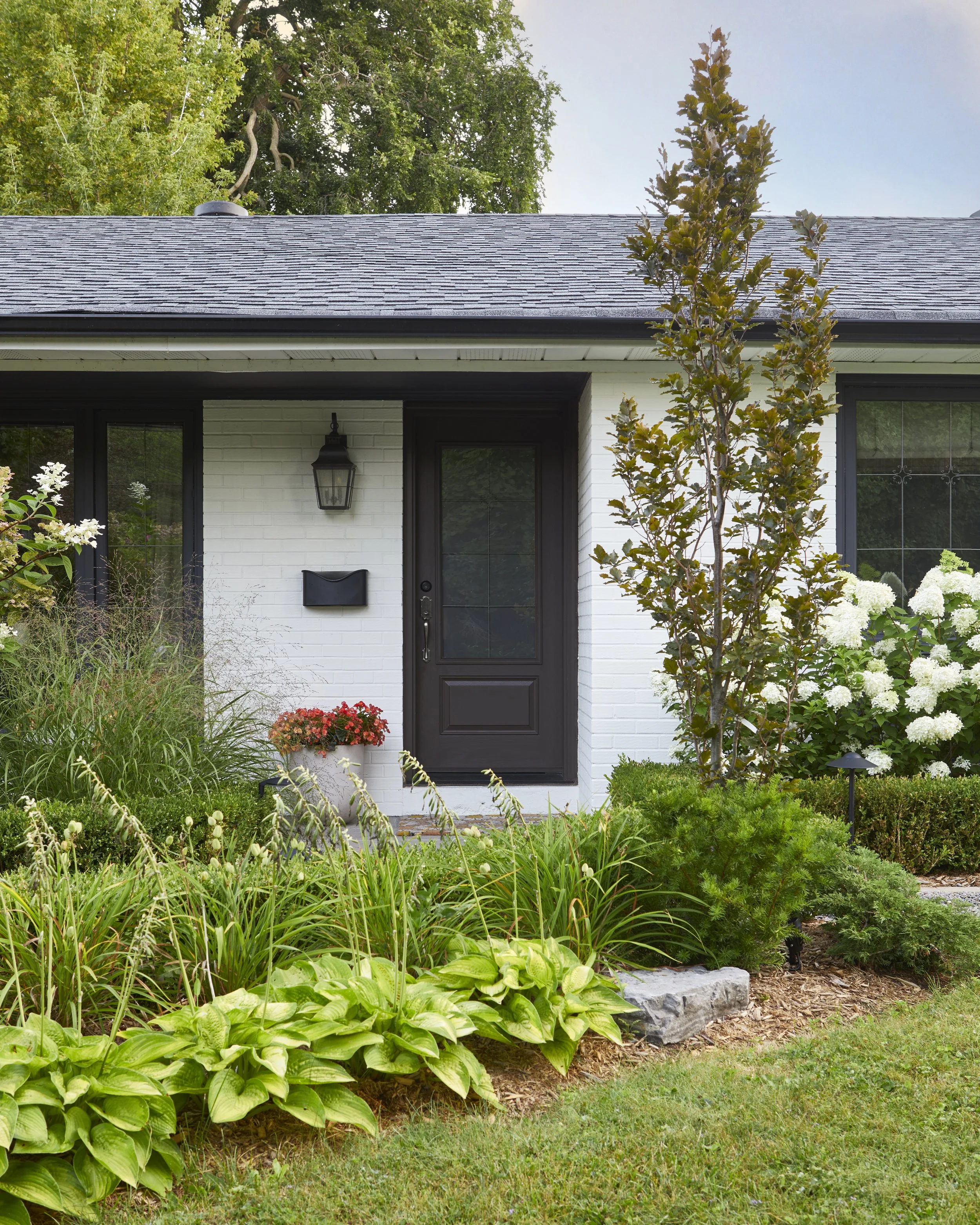 Ravine Park </br> <em> Scarborough, 2023 June </em>