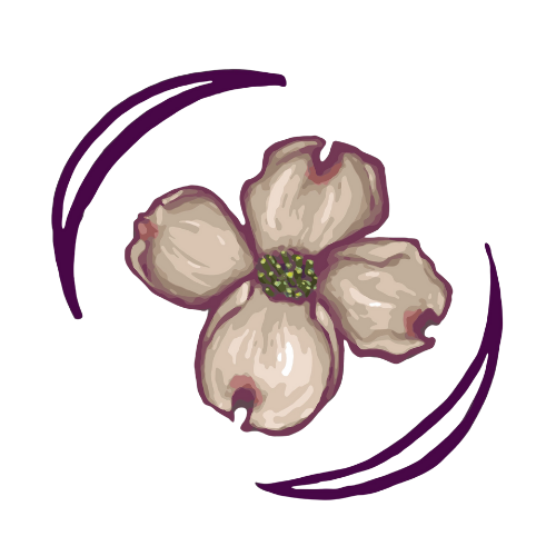 The Woven Chronicles