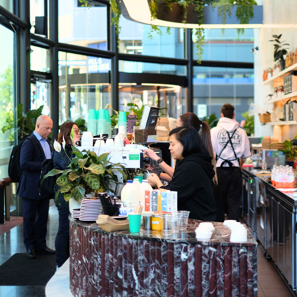 Customers ordering coffee at a cafe counter inside a modern coffee shop with large windows and hanging plants.