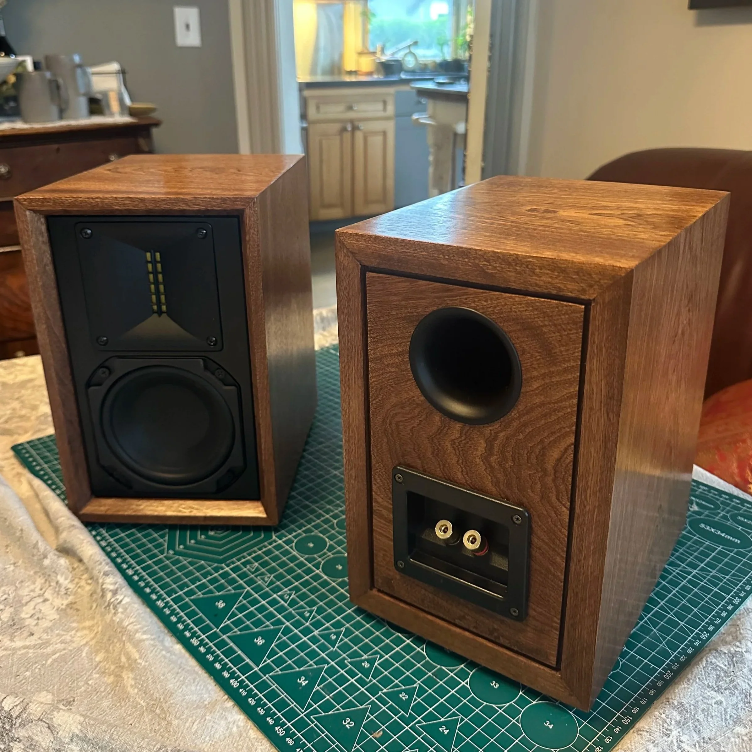 DIY Stereo Speakers