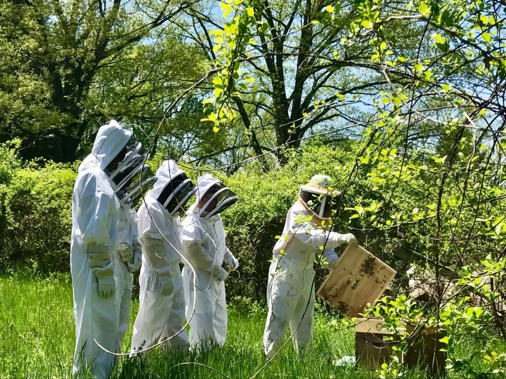 OAKWOOD FRIENDS POUGHKEEPSIE BEEKEEPERS.jpg