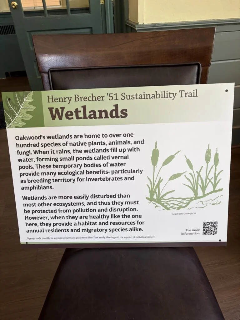 OAKWOOD FRIENDS POUGHKEEPSIE WETLANDS.jpg