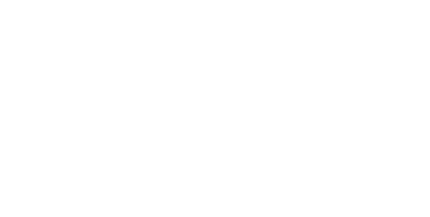 Artist and Animator
