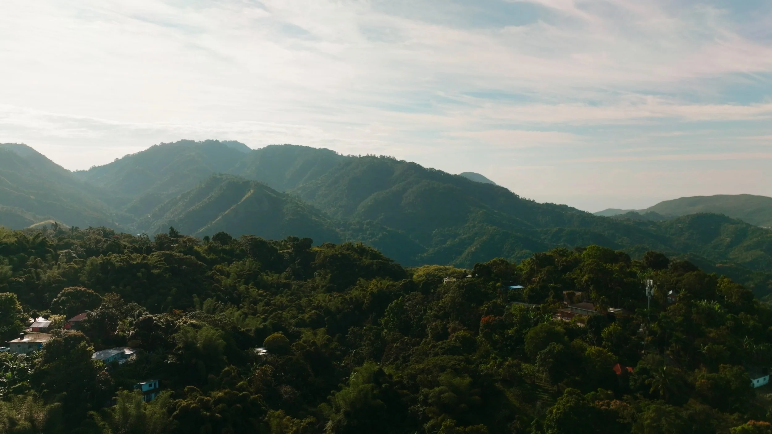 Hero Video_01_00_00_00.jpg