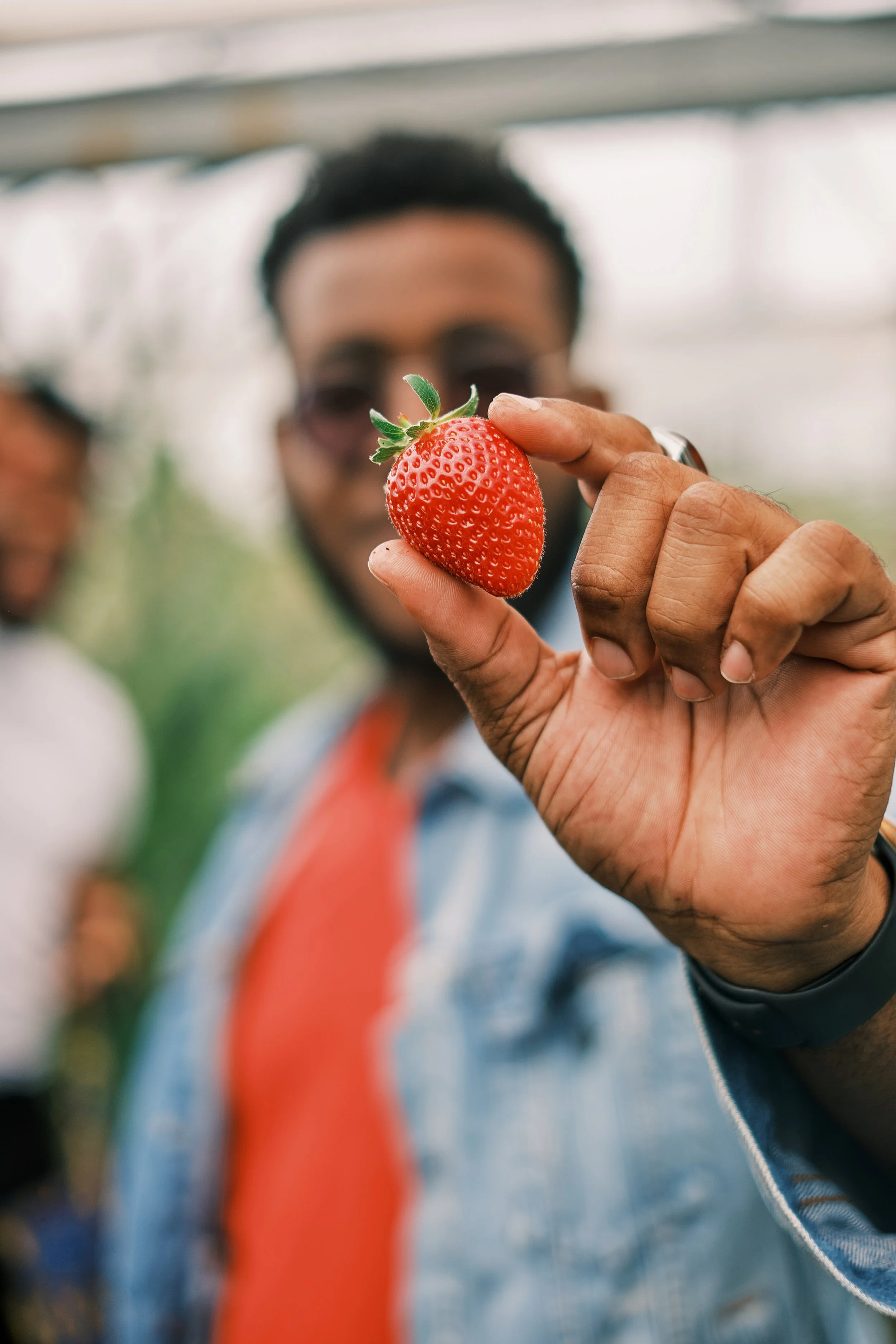 Man holding a fresh strawberry close to the camera in focus, with two blurred people in the background.