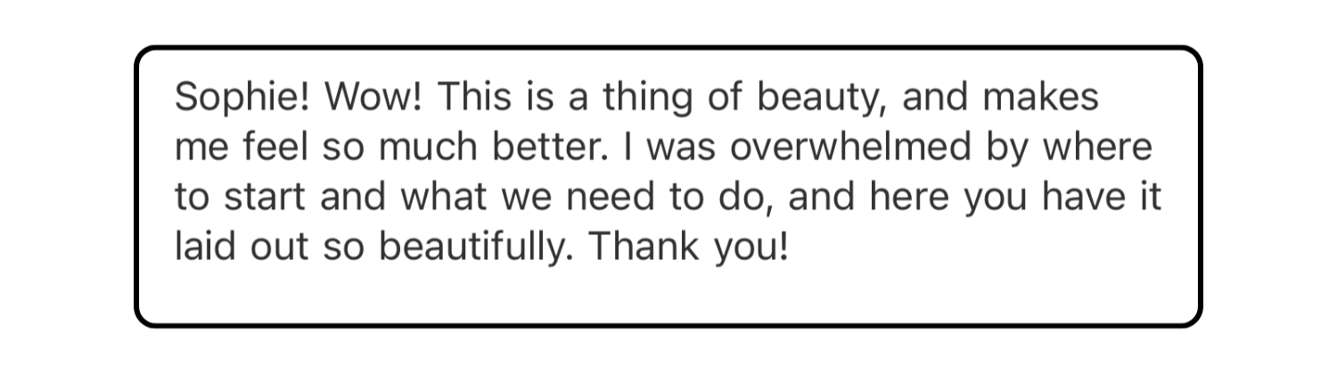 A screenshot of a chat message praising a laid-out plan or product that makes the sender feel better, expressed with excitement and gratitude.