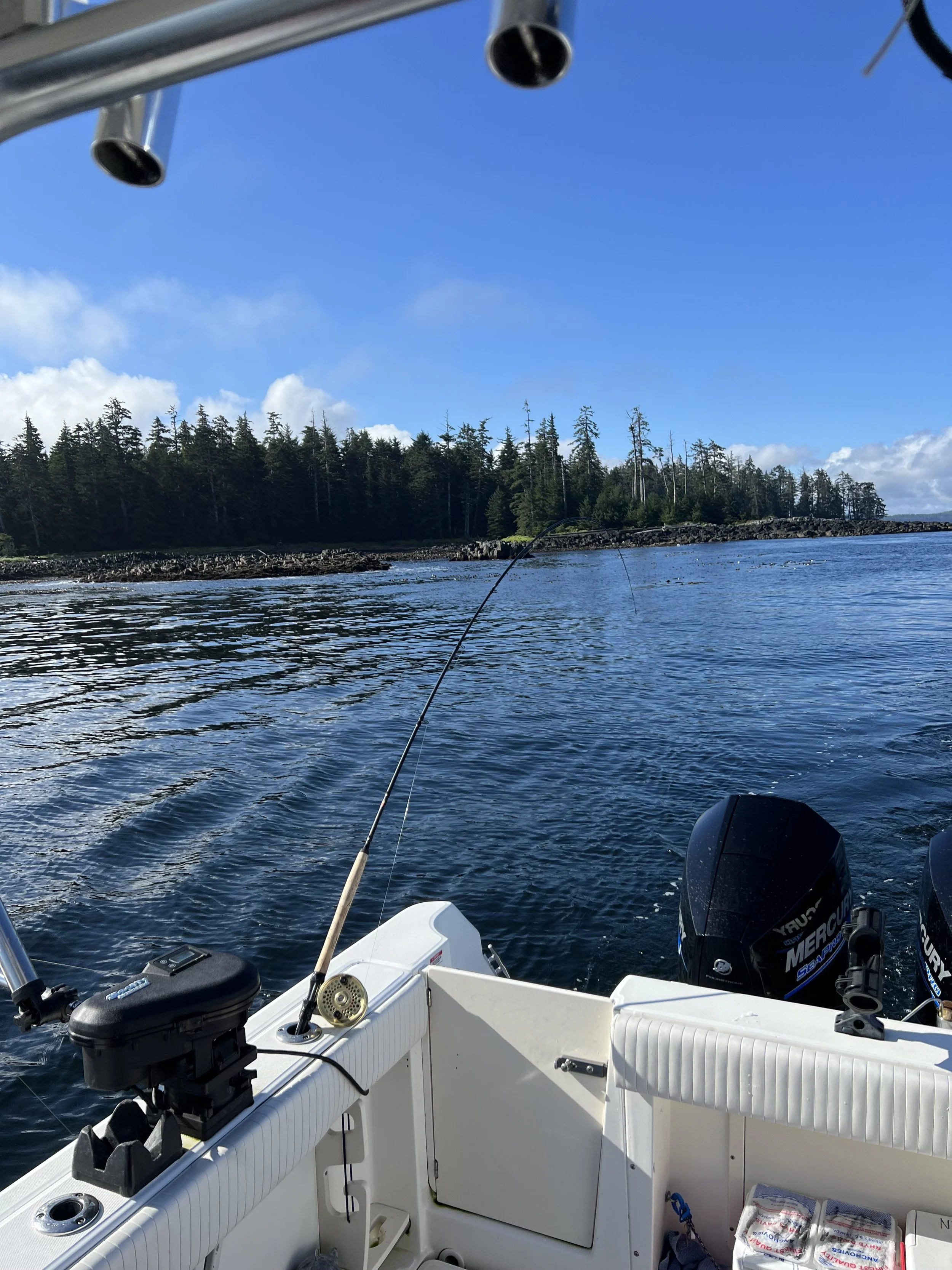 View from a boat showing water, a fishing rod, and a shoreline with trees under a clear blue sky.