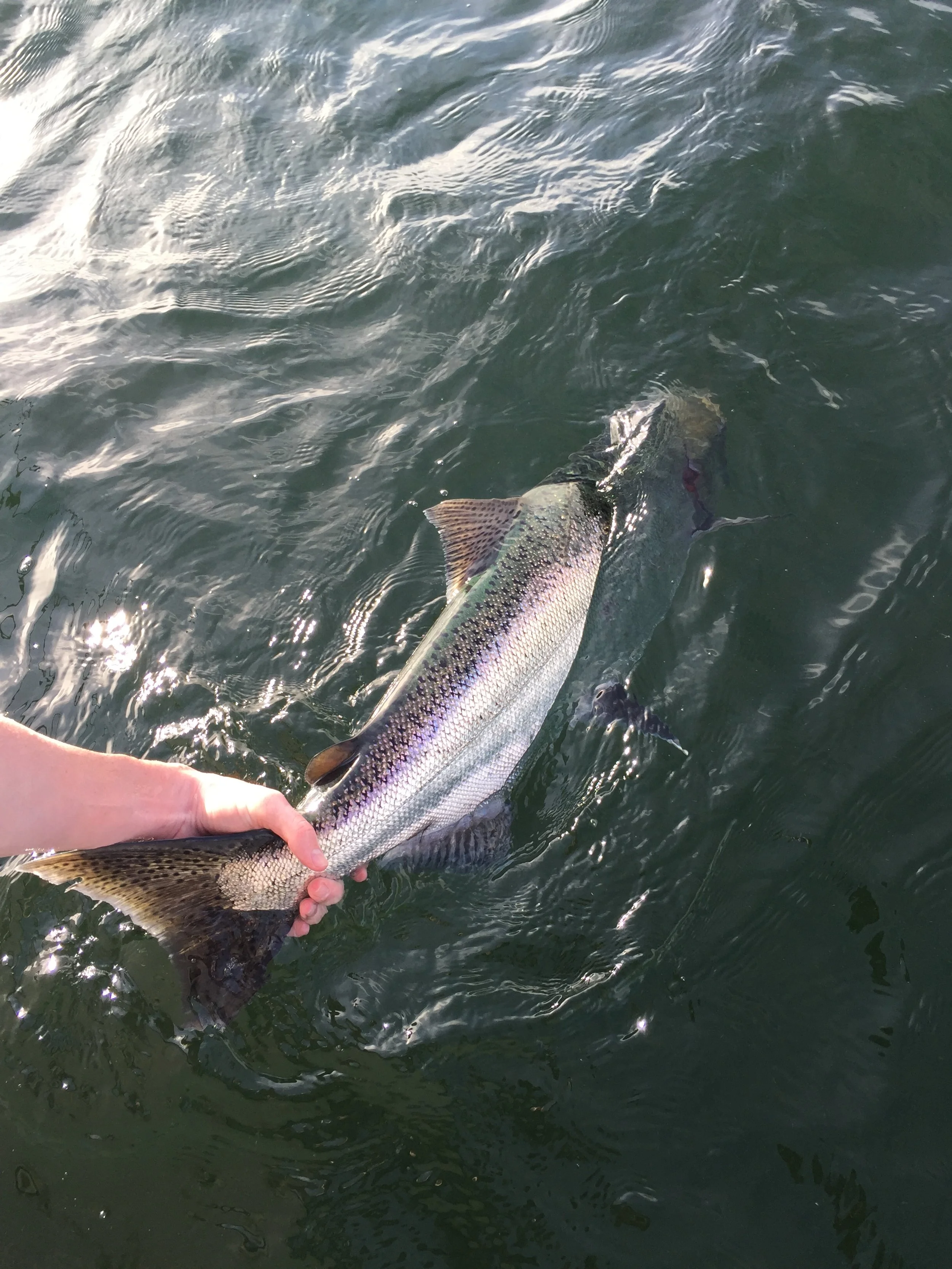 2021-06-17 18.26.57.jpeg