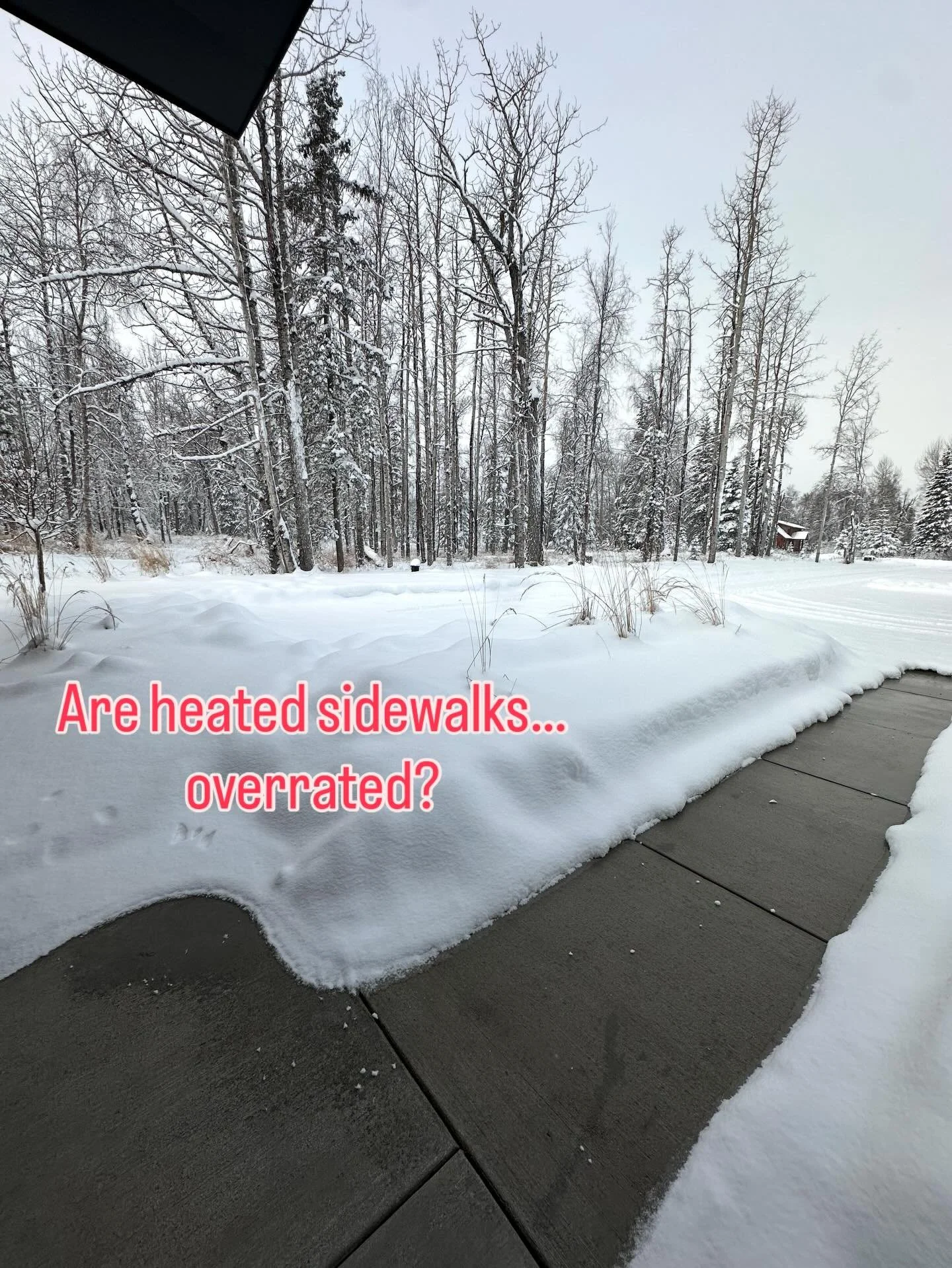 NO. How many of us have been to the chiropractor after slipping on ice or have experienced a bruised or broken tailbone?

And what about considering safety for those who need an extra clear path to your front door? 

Did you know sidewalk heaters are