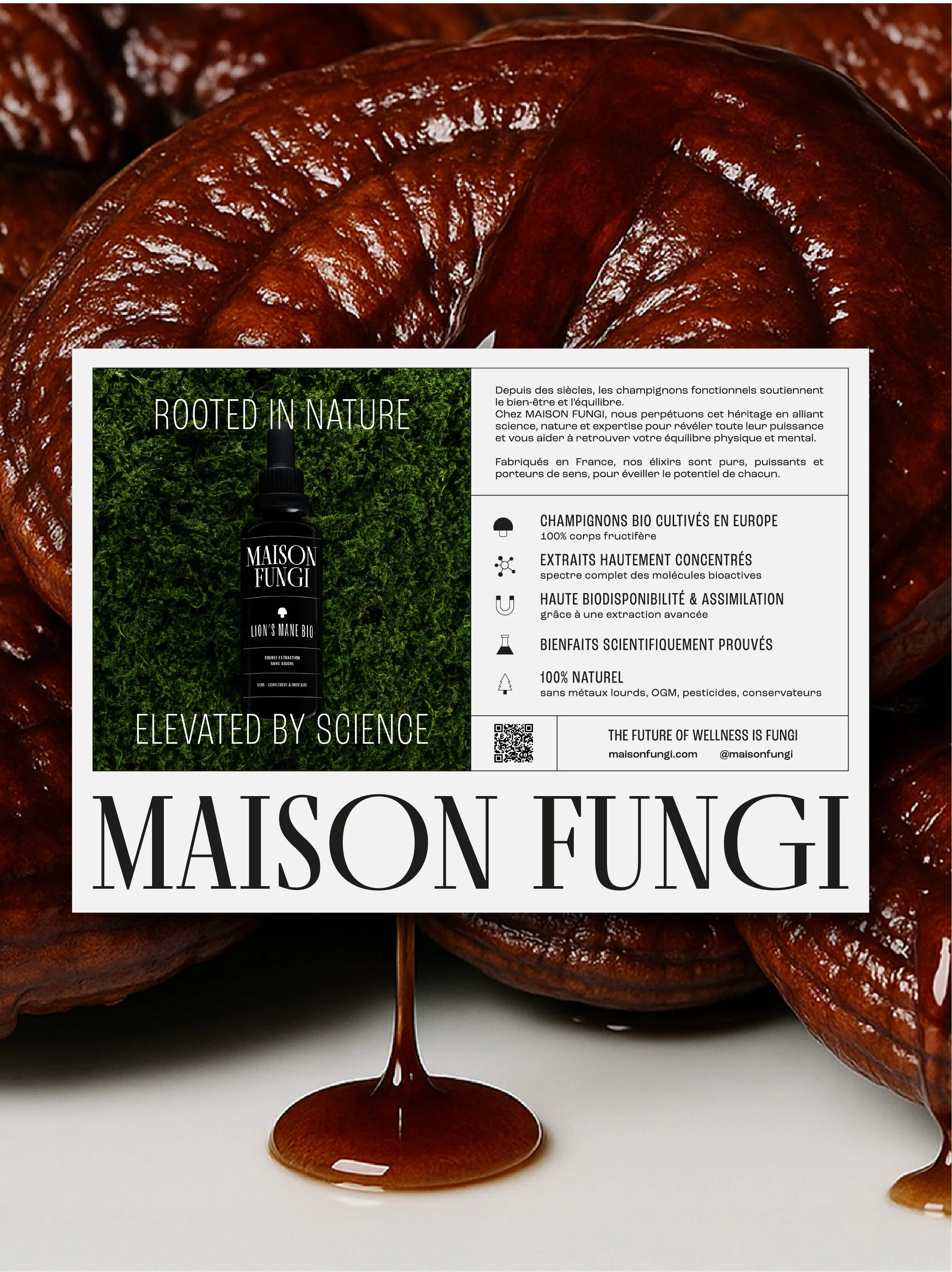 MaisonFungi-Flyer-GloriaJag.jpg