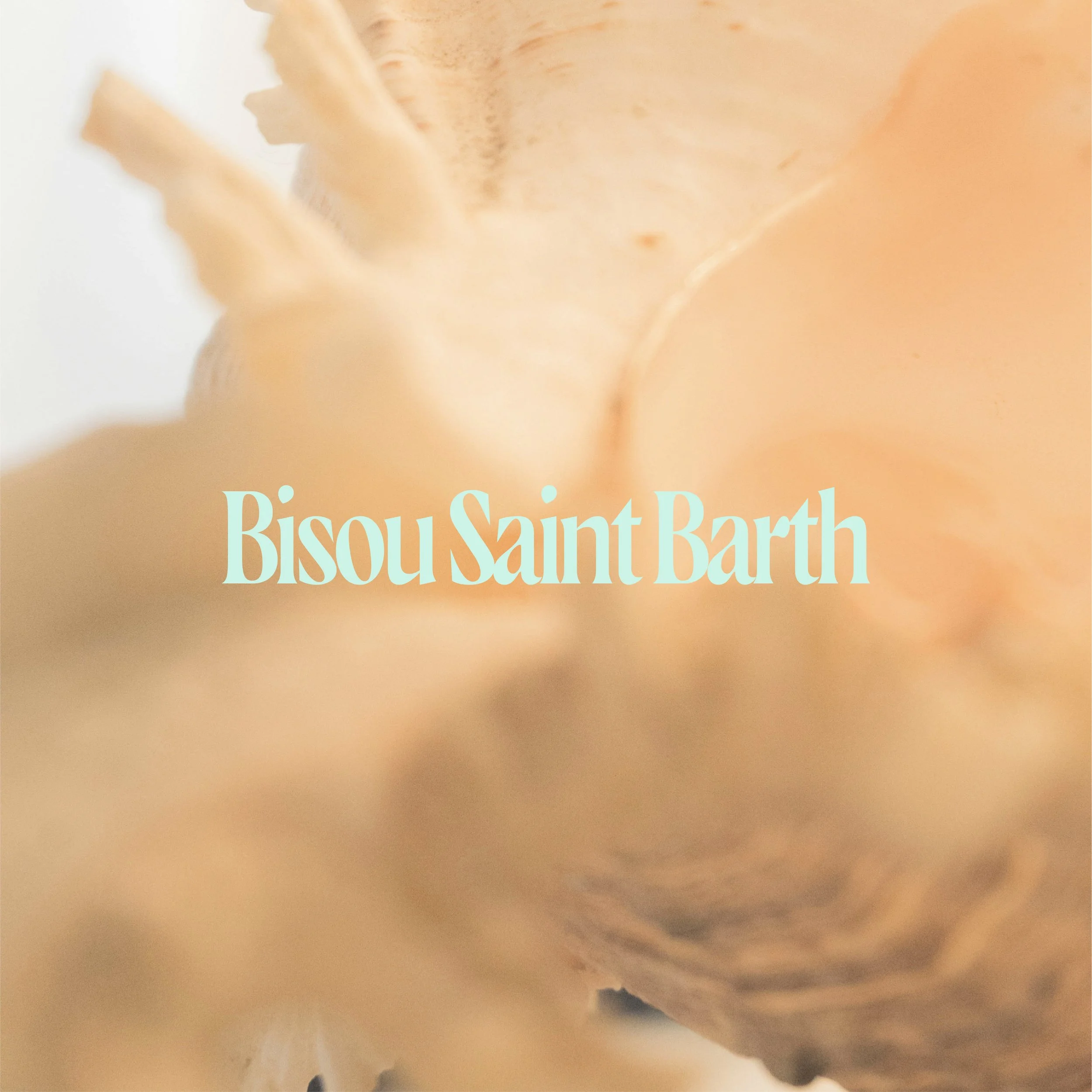 bisou saint barth