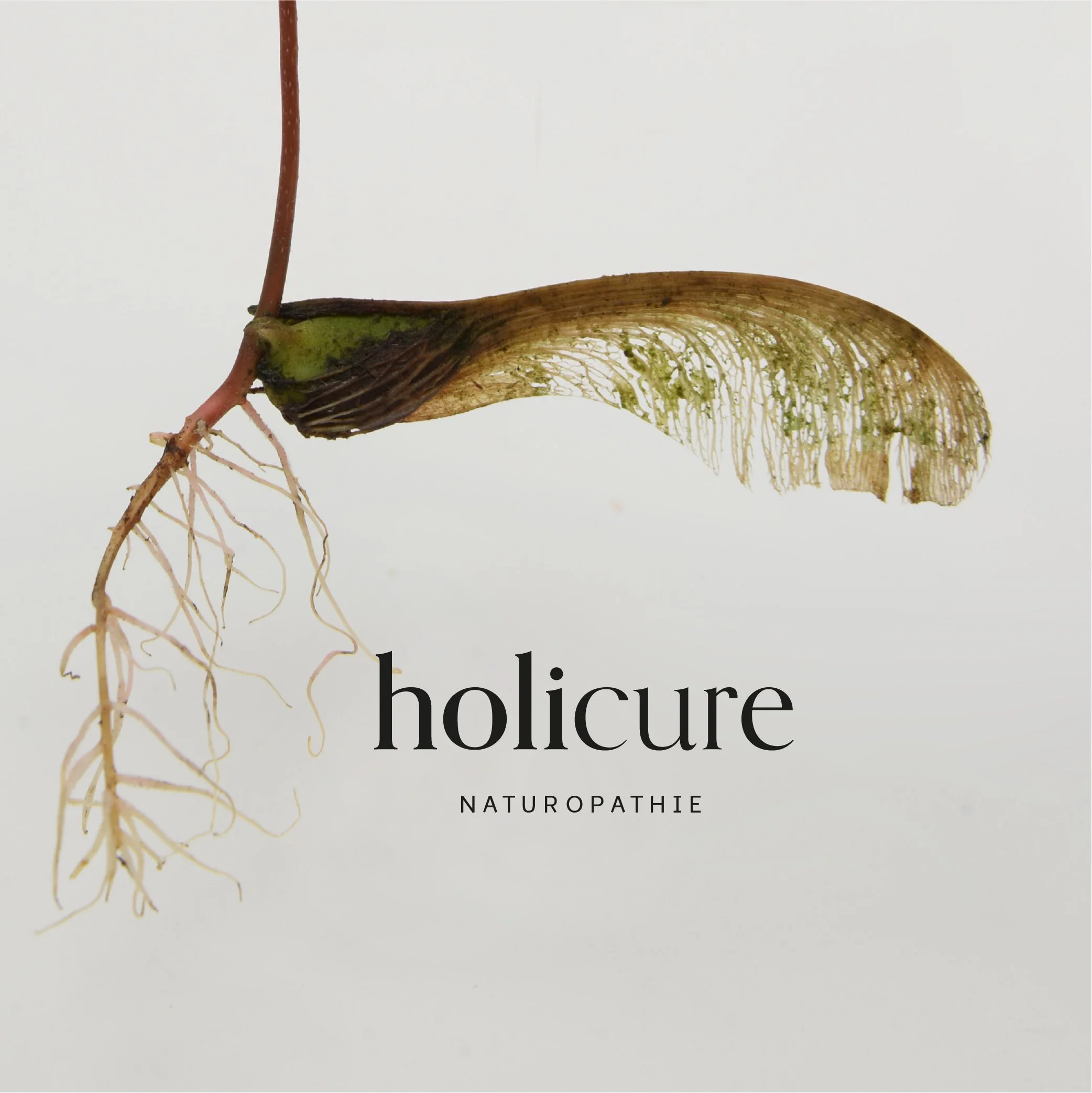 holicure