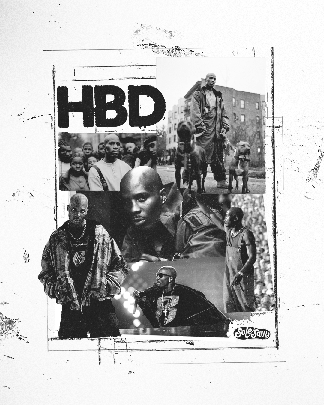 SS-HBD-DMX.png