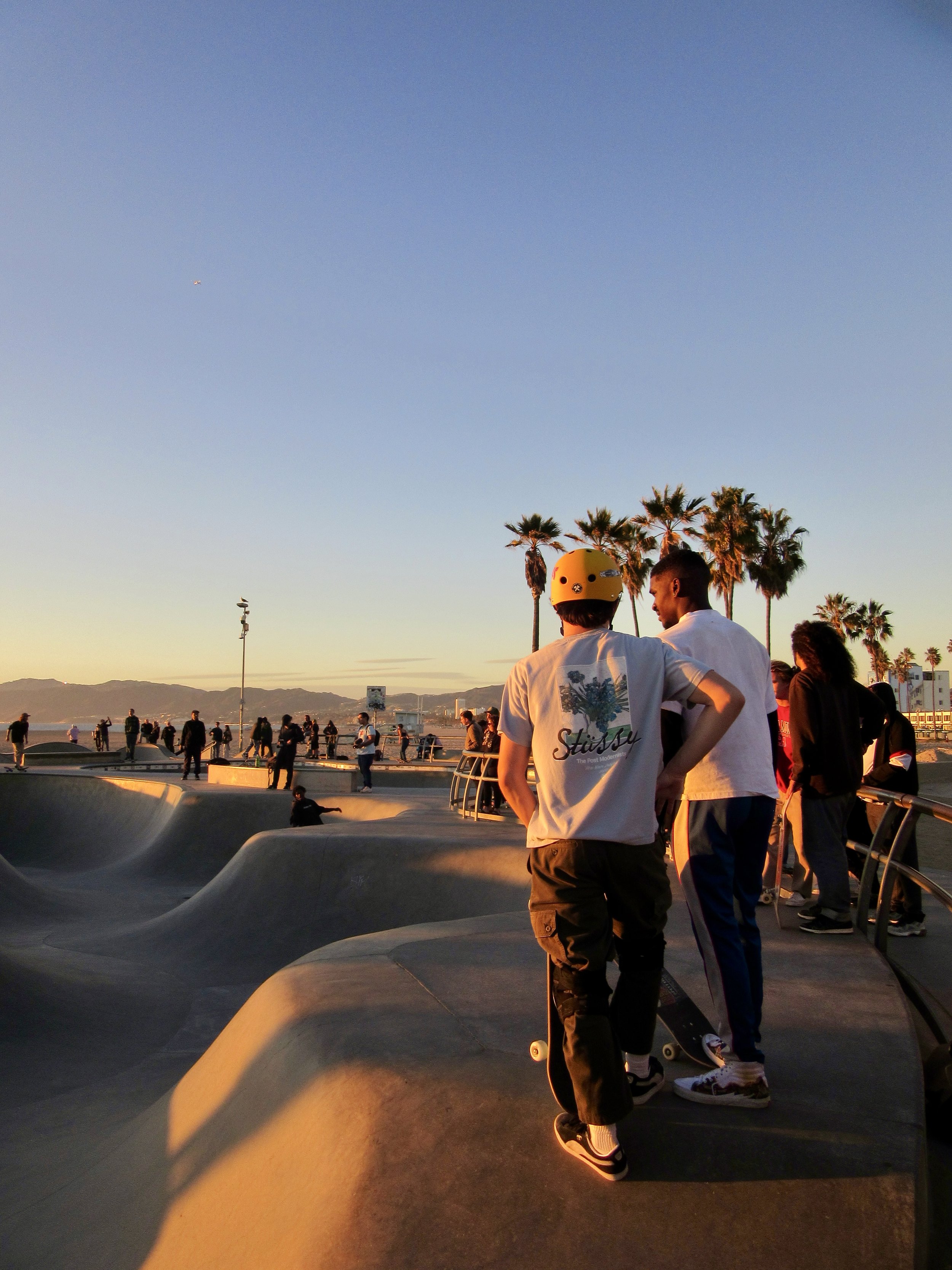 People at a skatepark during sunset, with palm trees and mountains in the background.