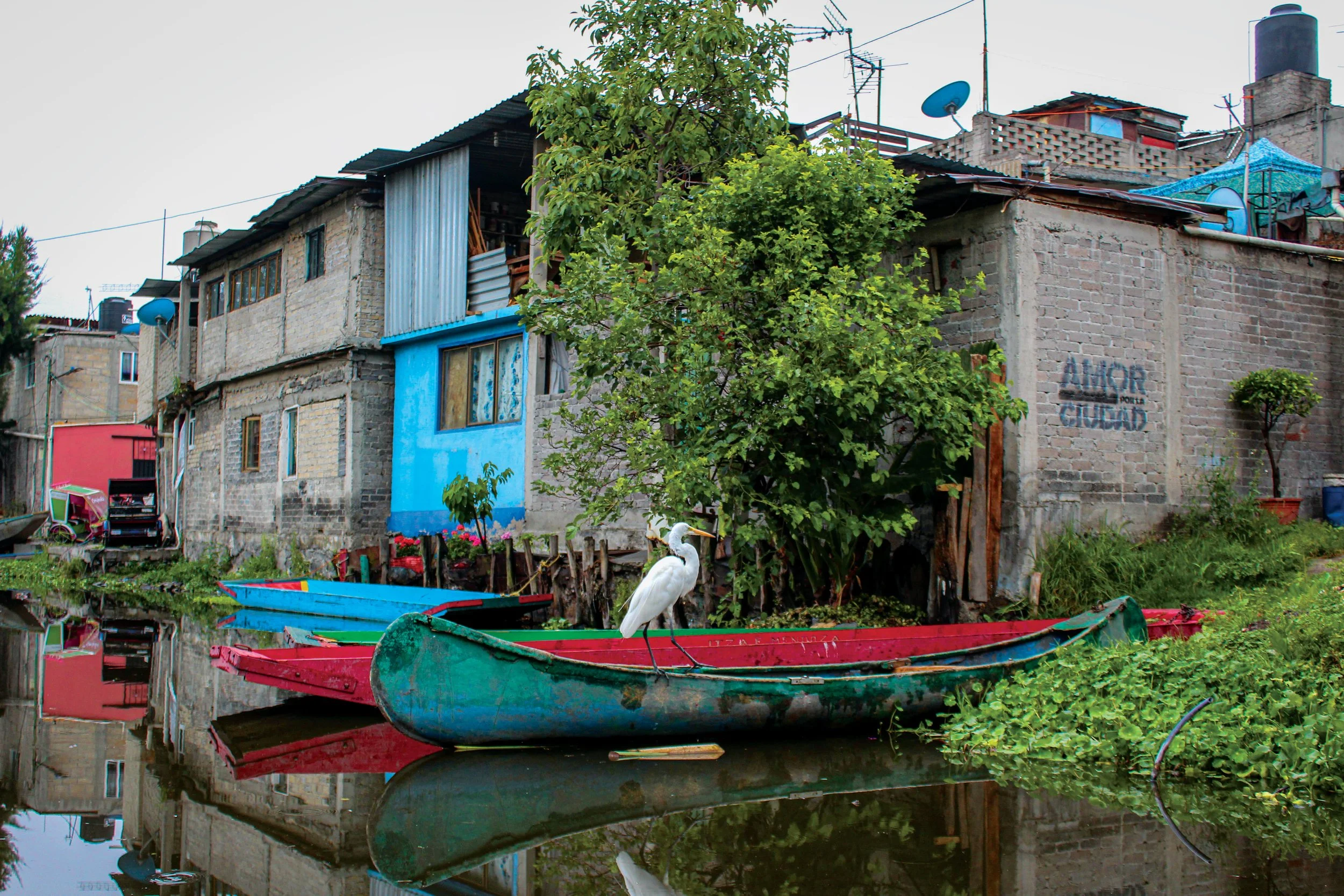 A canal with colorful boats, a white heron, and a row of houses with graffiti on the wall reading 'AMOR' and 'CIUDAD'.