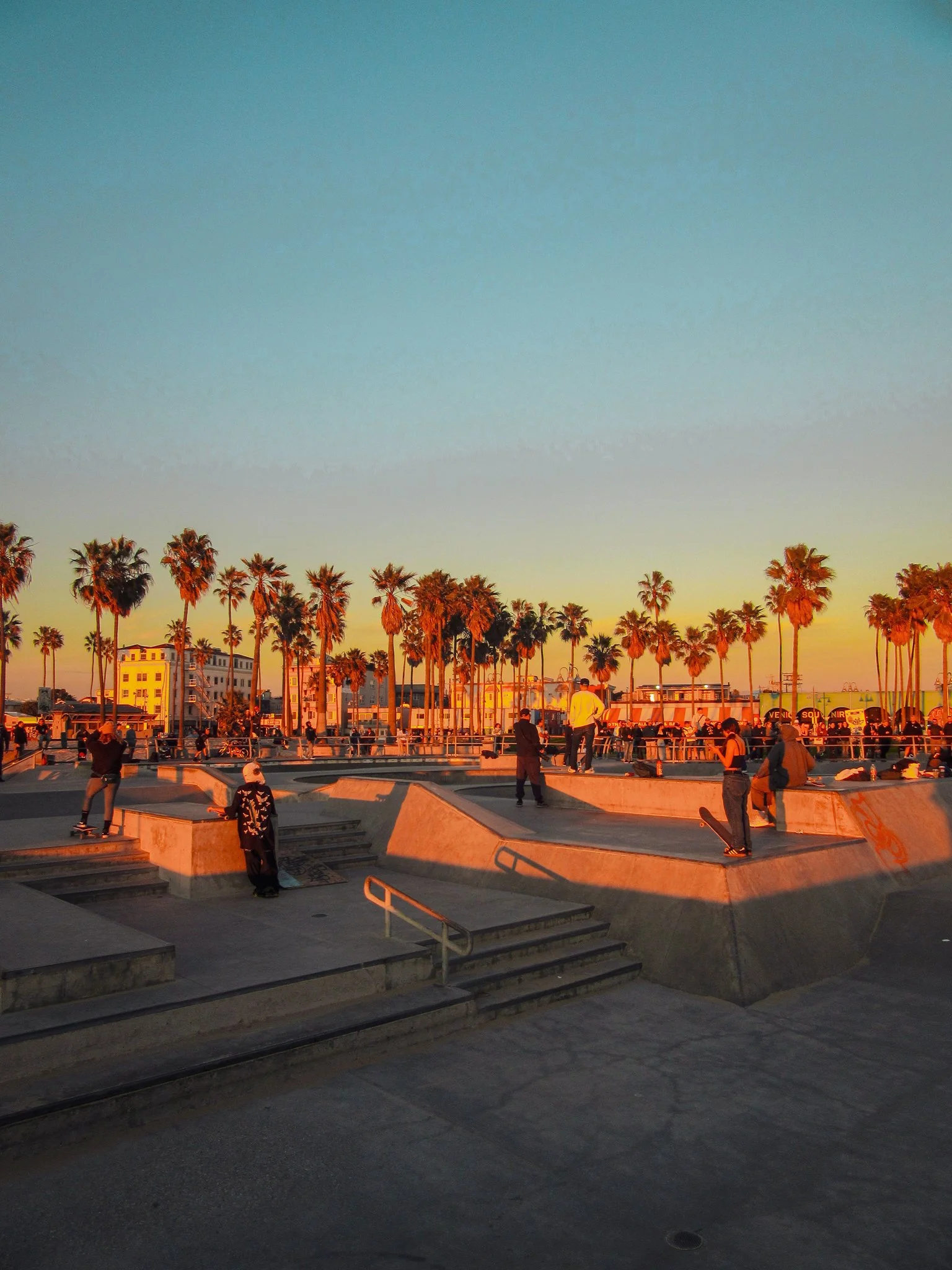 People skating and socializing at a skate park during sunset, with palm trees and buildings in the background.