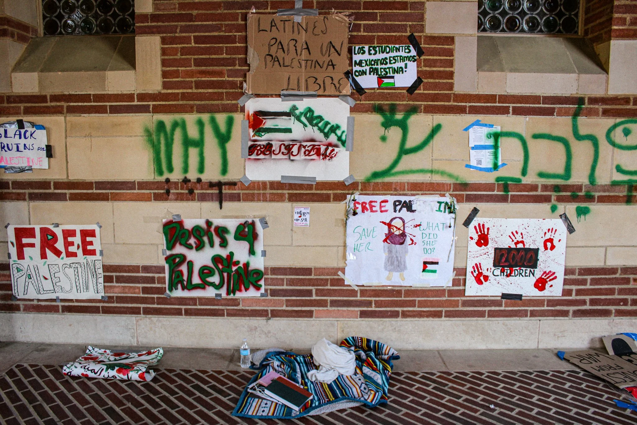 A brick wall with multiple protest signs including ones in English and Spanish advocating for Palestine, anti-Israel messages, and calling for the liberation of Palestine. Signs are handwritten or painted, some taped or stapled to the wall. Items suc