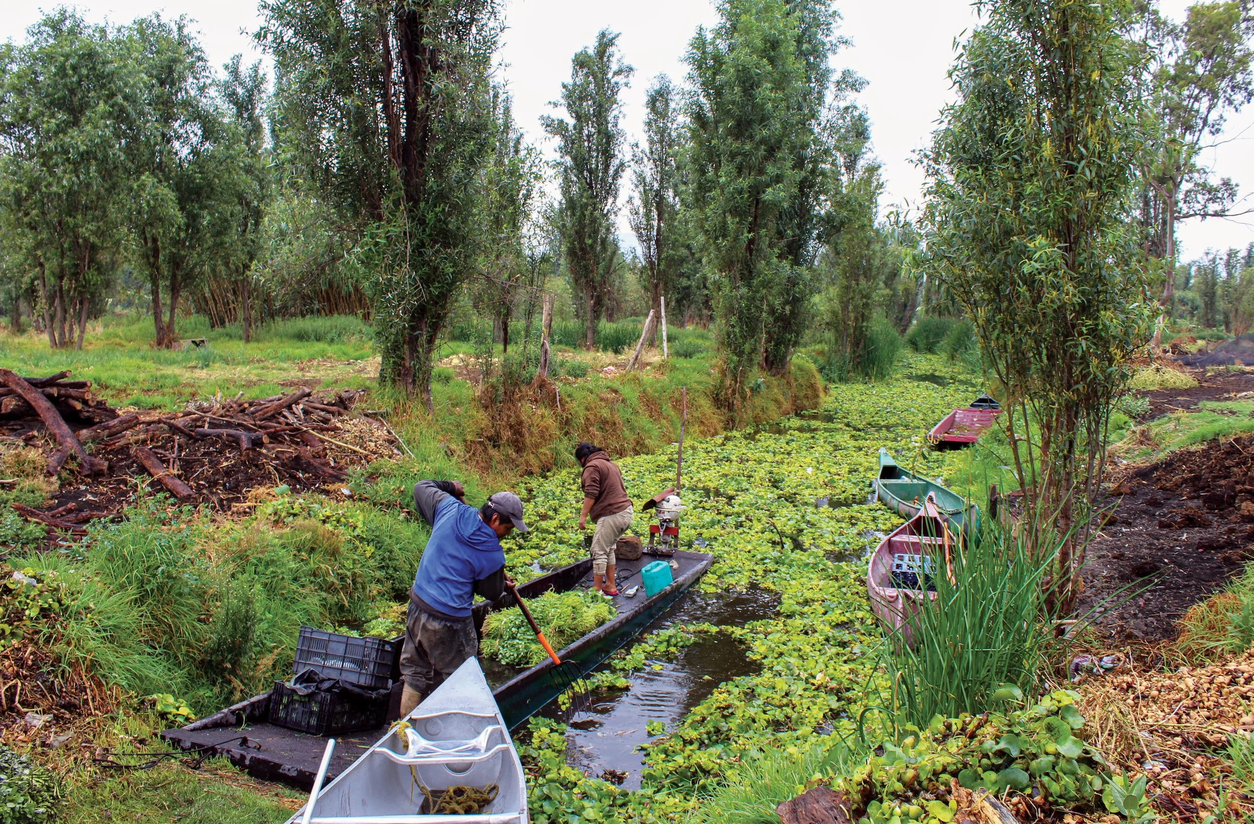 Two men fishing with boats in a green, tree-lined wetland with water plants.