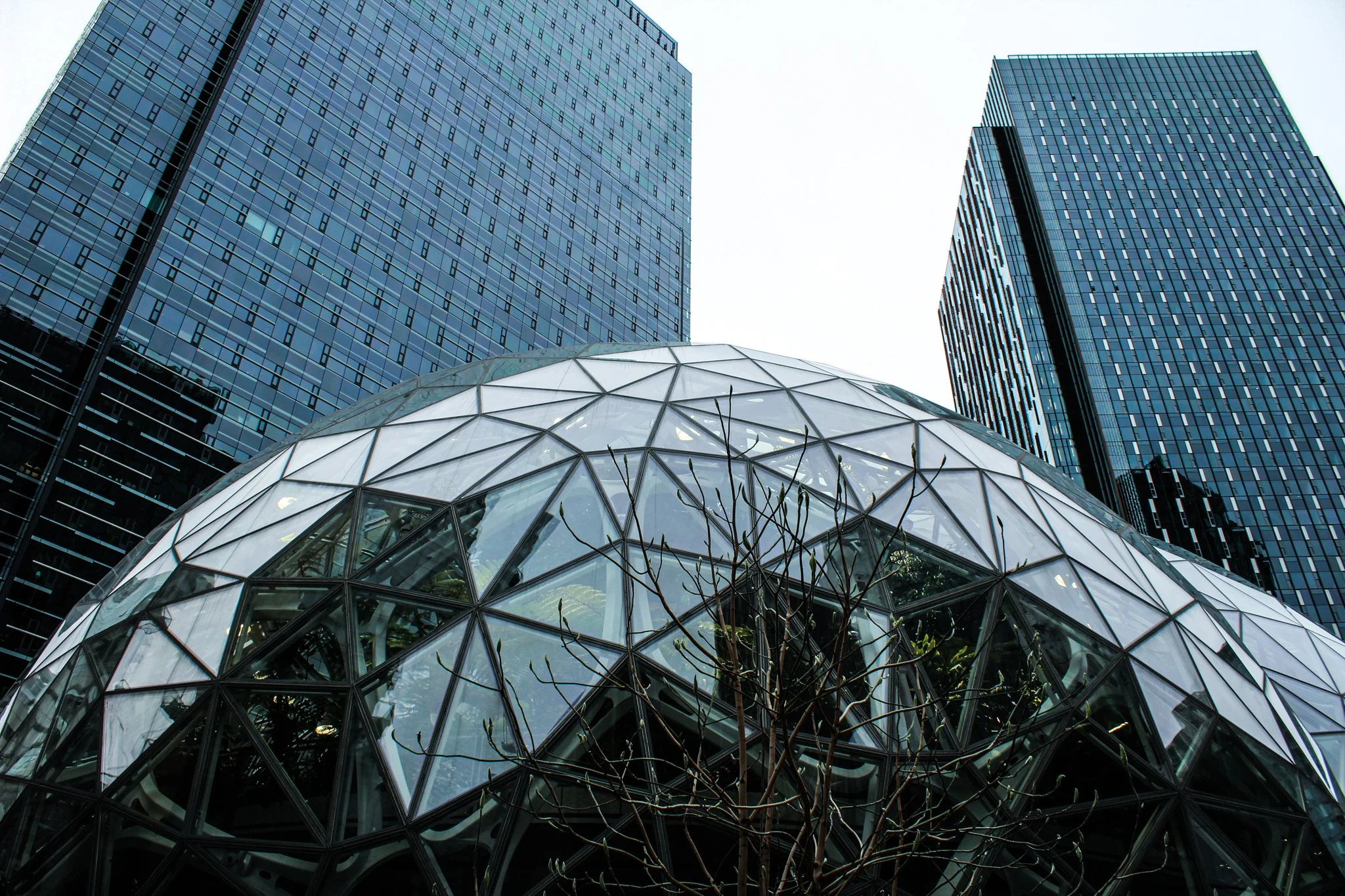 Modern glass dome structure with geometric patterns, surrounded by tall blue glass skyscrapers, and a leafless tree in the foreground.