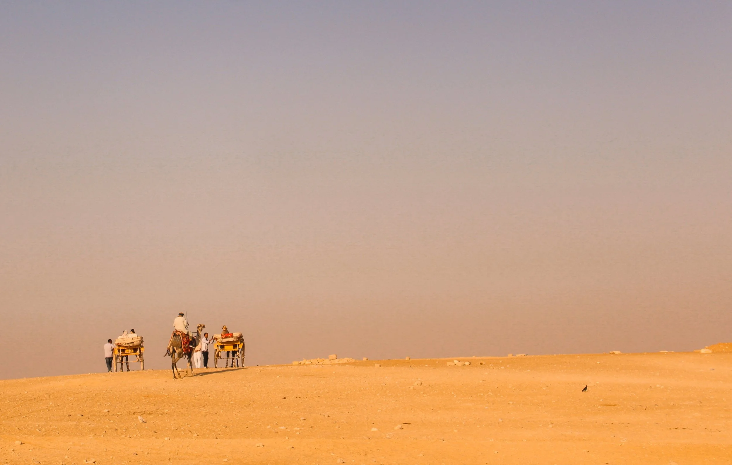 Camel caravan with people and camels on sandy desert during sunset or sunrise.