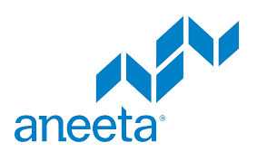 Logo of Aneeta with stylized blue geometric design above the text.