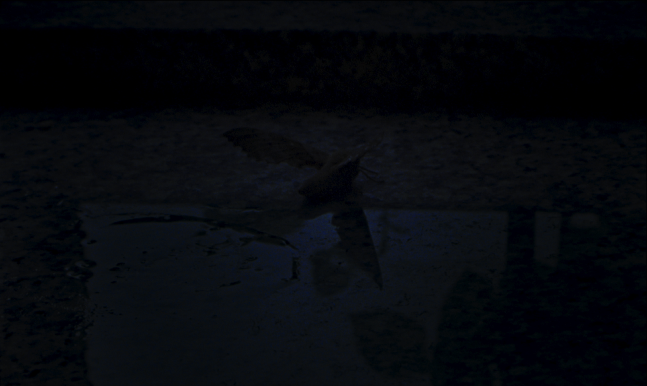 Screenshot+2025-11-19+at+8.27.07%E2%80%AFPM.png
