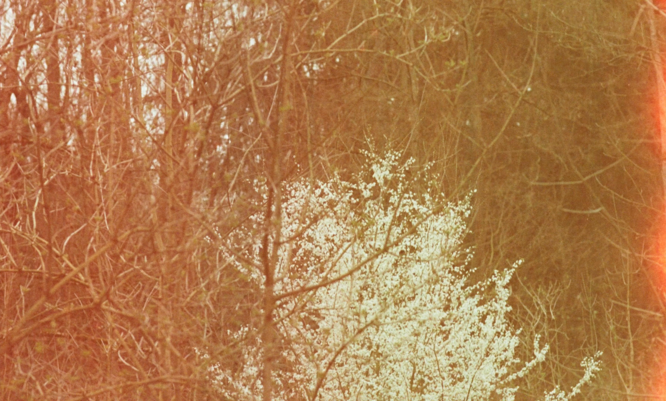 Screenshot+2025-11-06+at+5.21.34%E2%80%AFPM.png