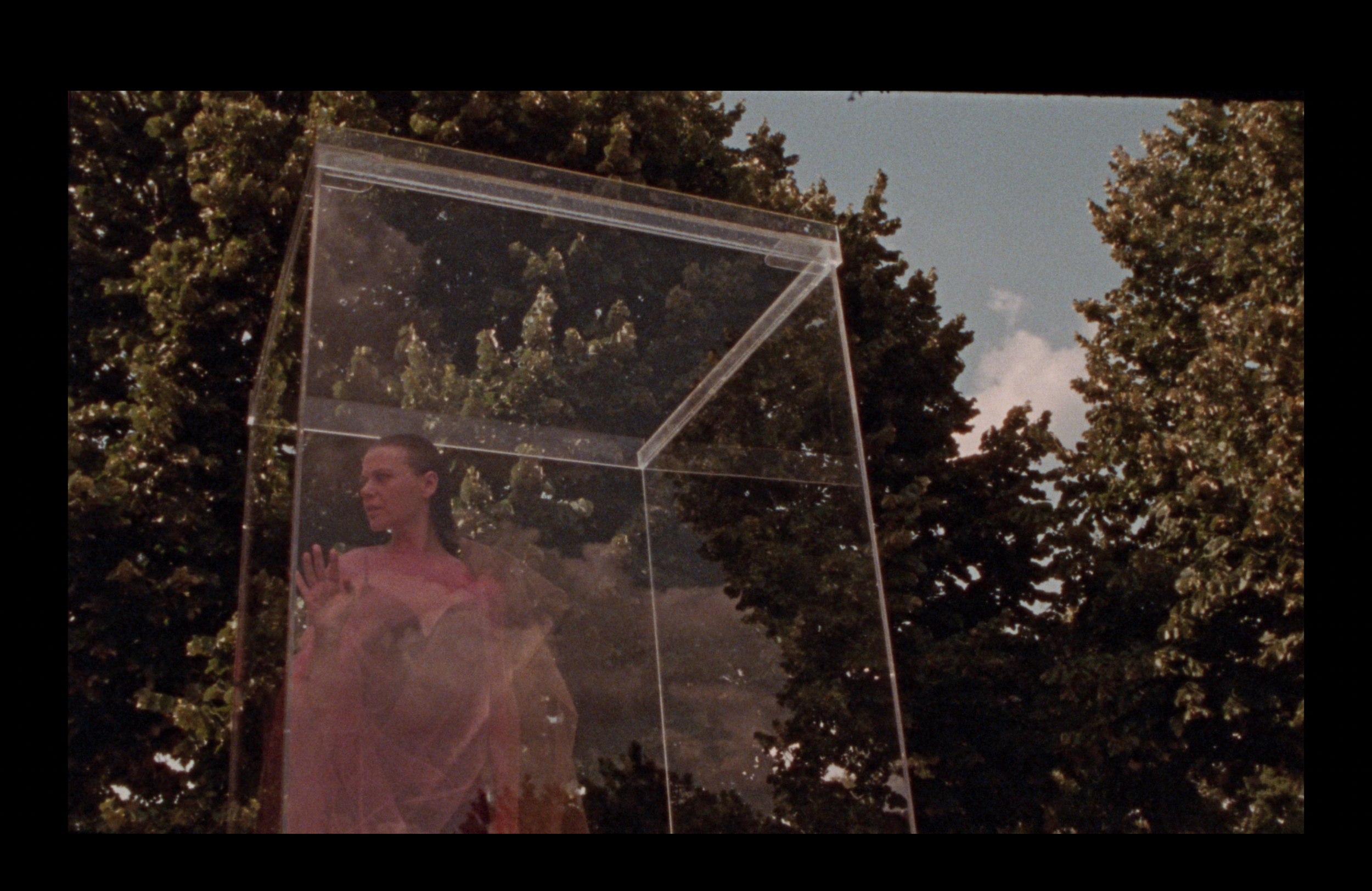 Screenshot 2025-09-12 at 4.53.01 PM.png