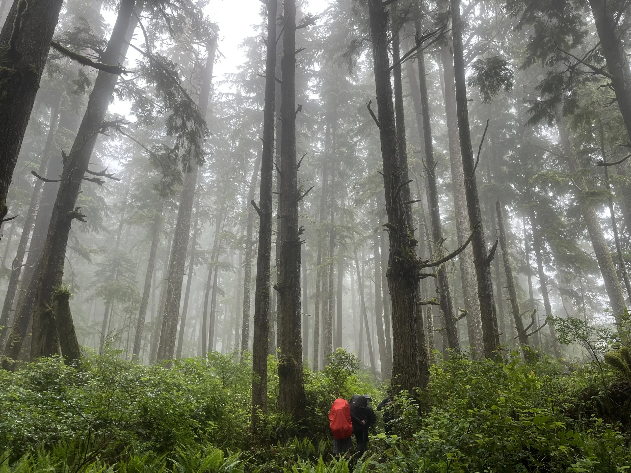 The West Coast Trail - You Better Learn to like Dancing in the Rain 