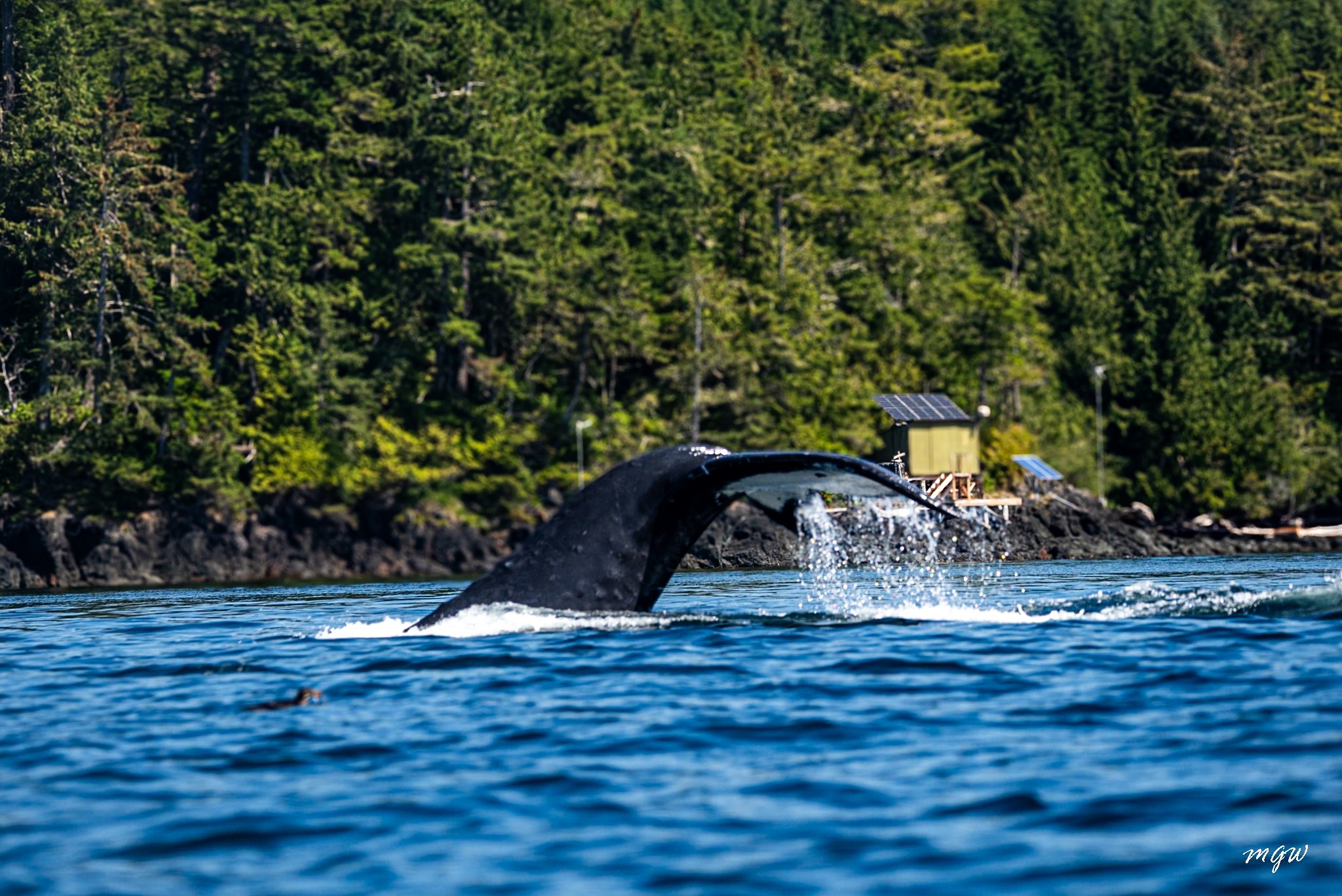 Telegraph Cove Photos