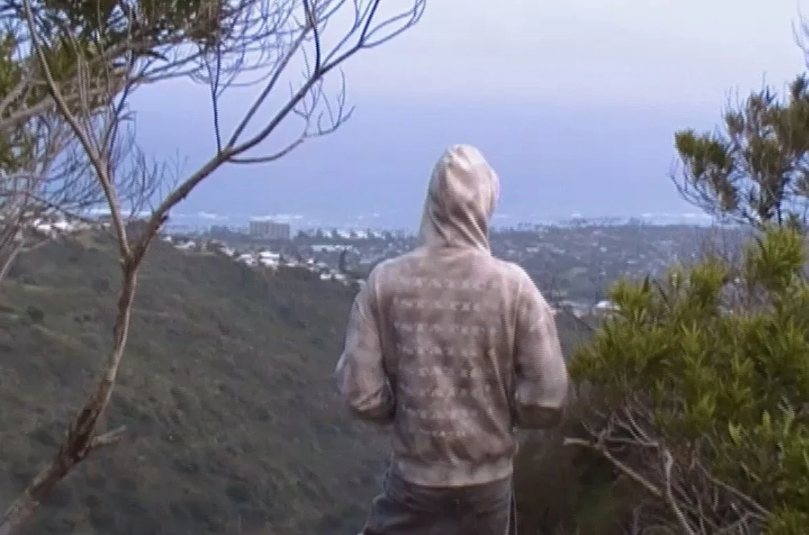 A person with a hoodie standing on a hillside overlooking a cityscape with trees and buildings under a cloudy sky.