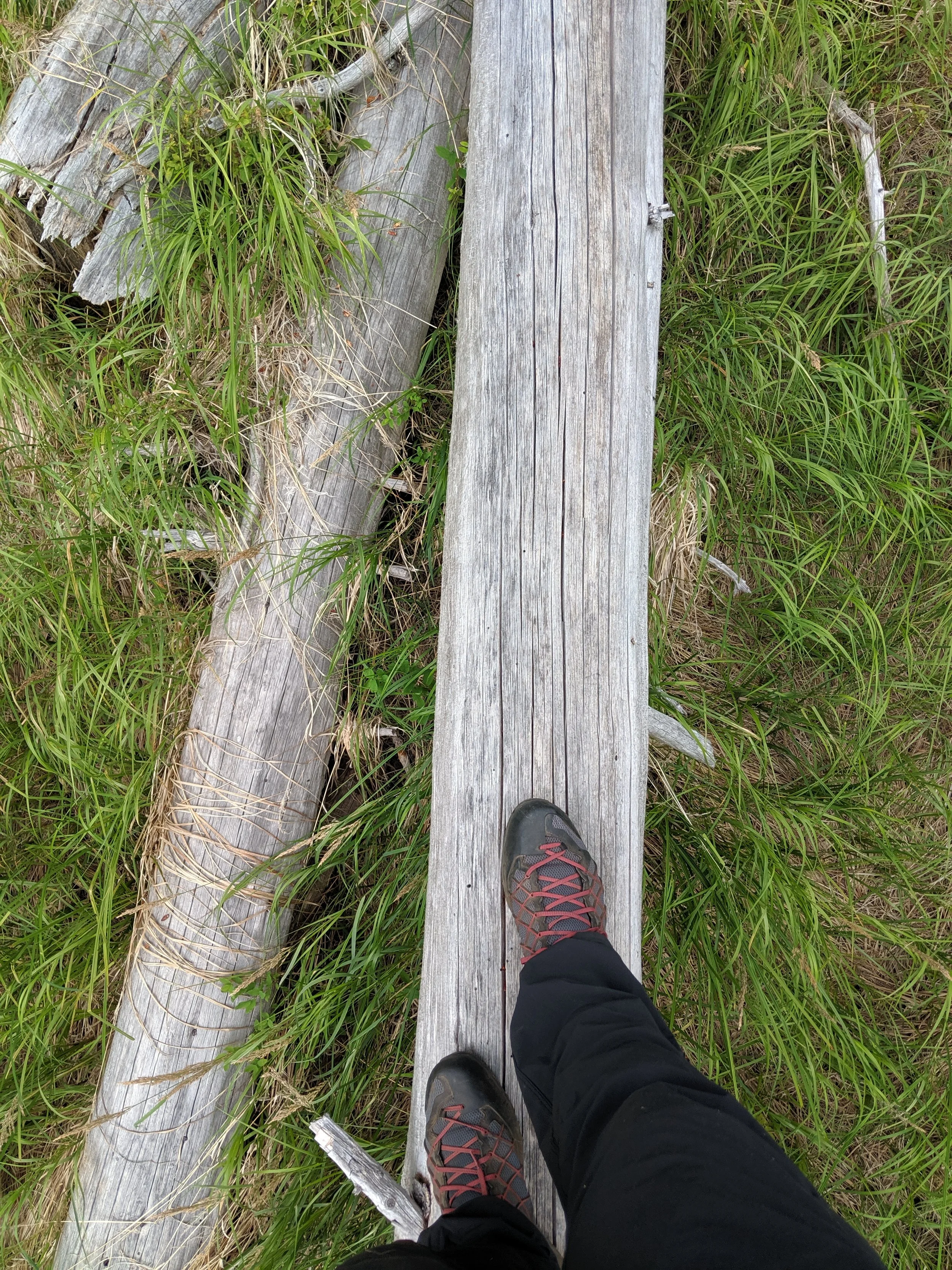 Tale of Two Soles - Geoff Rhodes (14).jpg