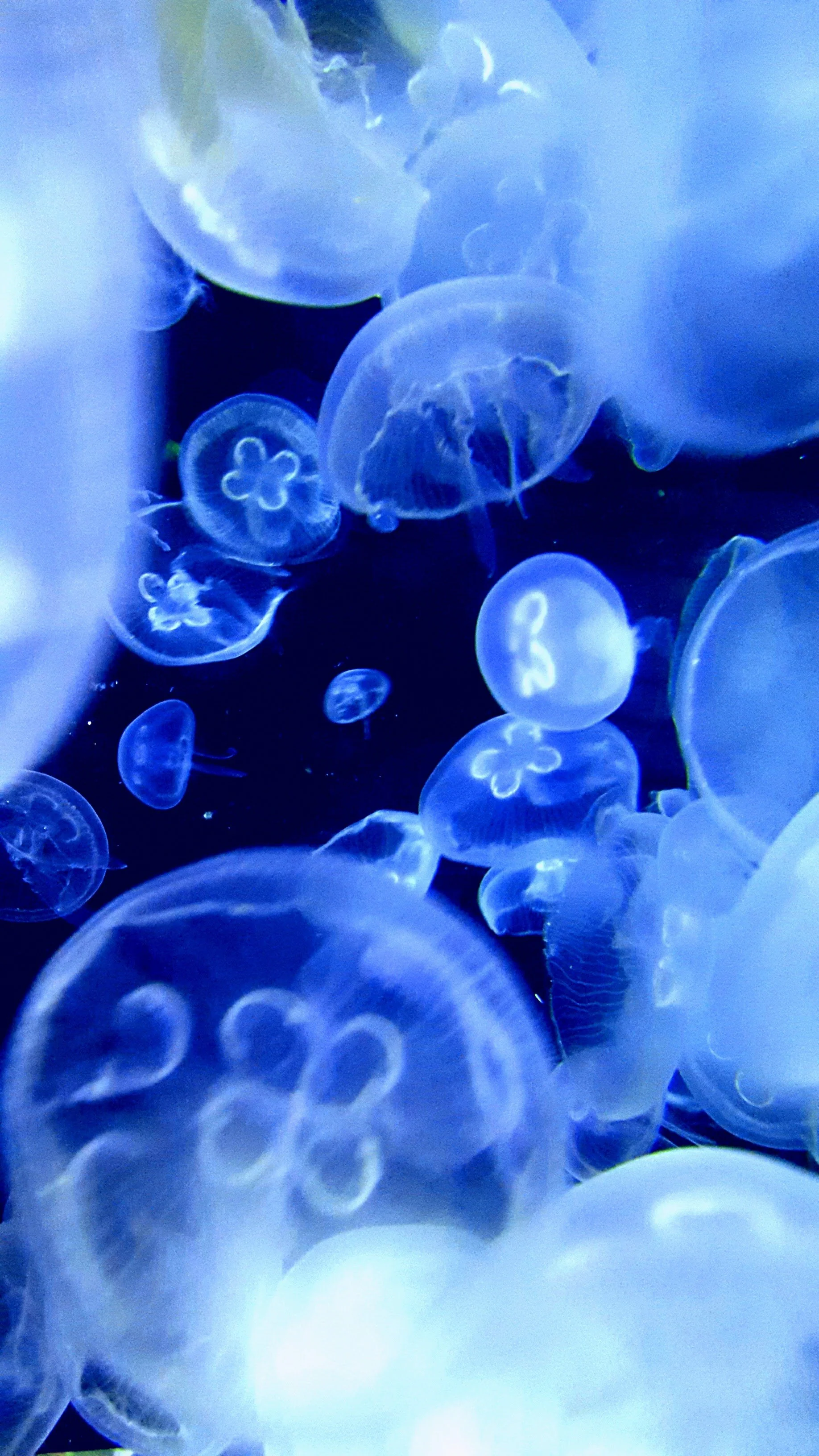 The World Around Me - Geoff Rhodes  (58).jpg