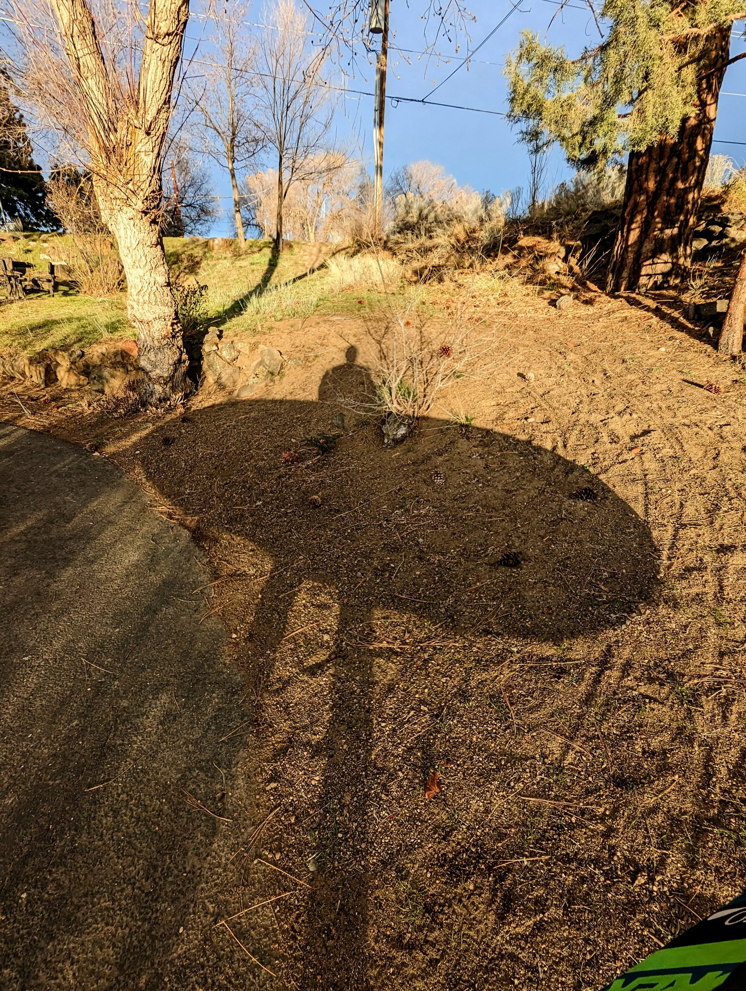 Shadow Games - Geoff Rhodes - 2023 (2).jpg