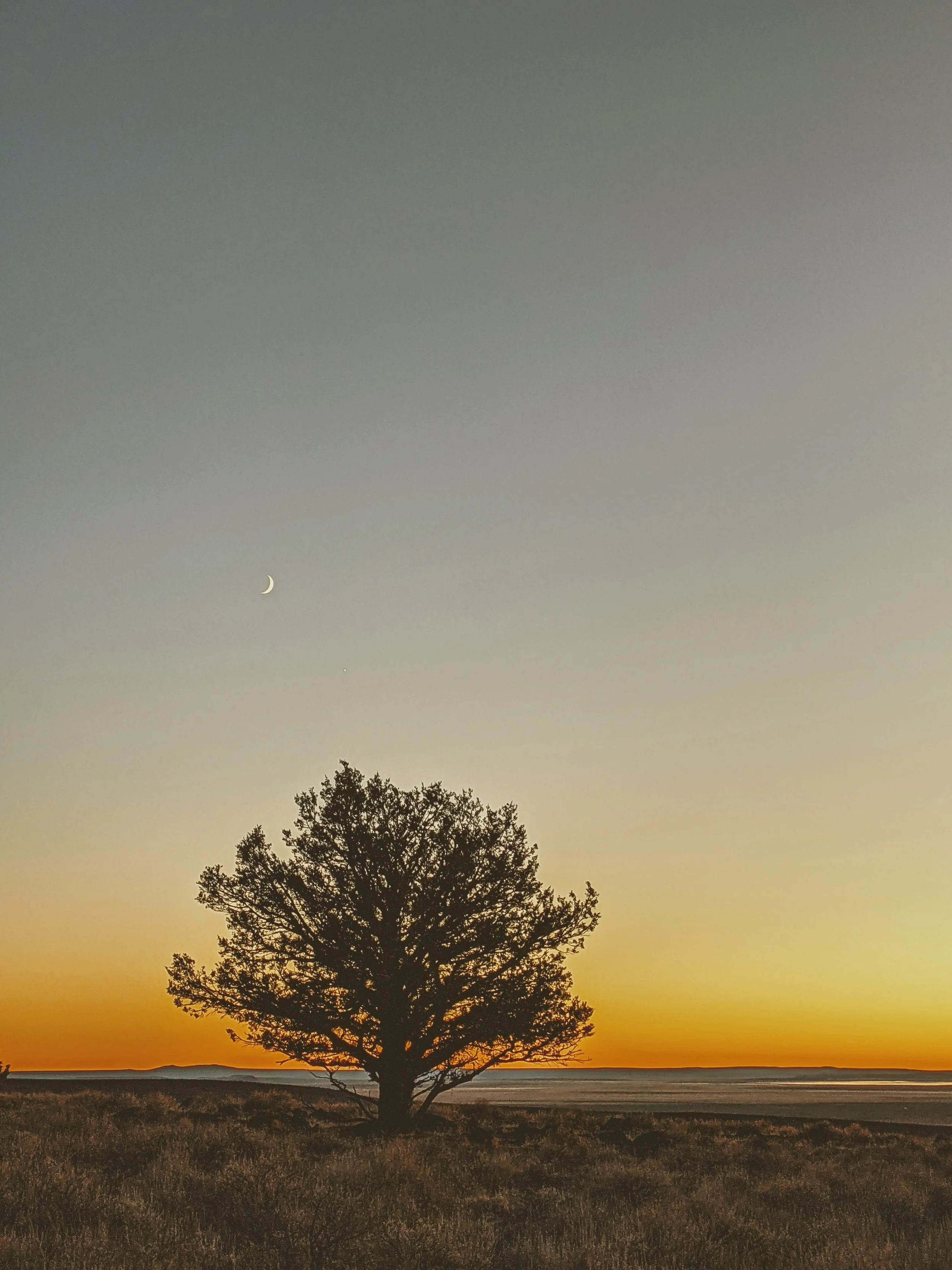 Killer Sunsets - Geoff Rhodes (150).jpg