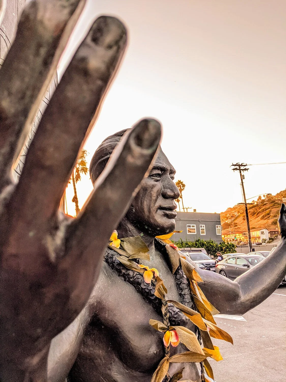 The World Around Me - Geoff Rhodes  (69).jpg