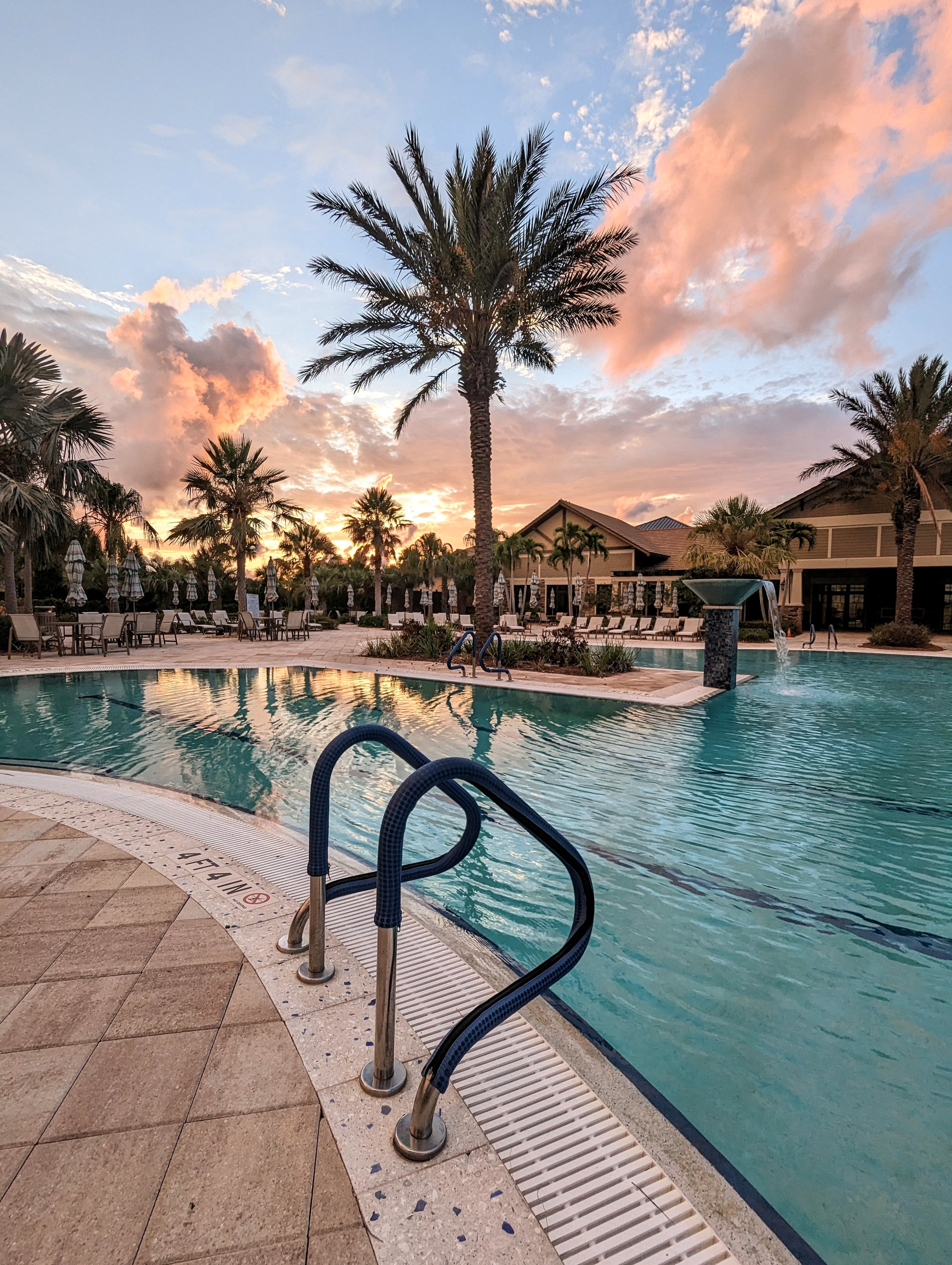 The World Around Me - Geoff Rhodes  (43).jpg