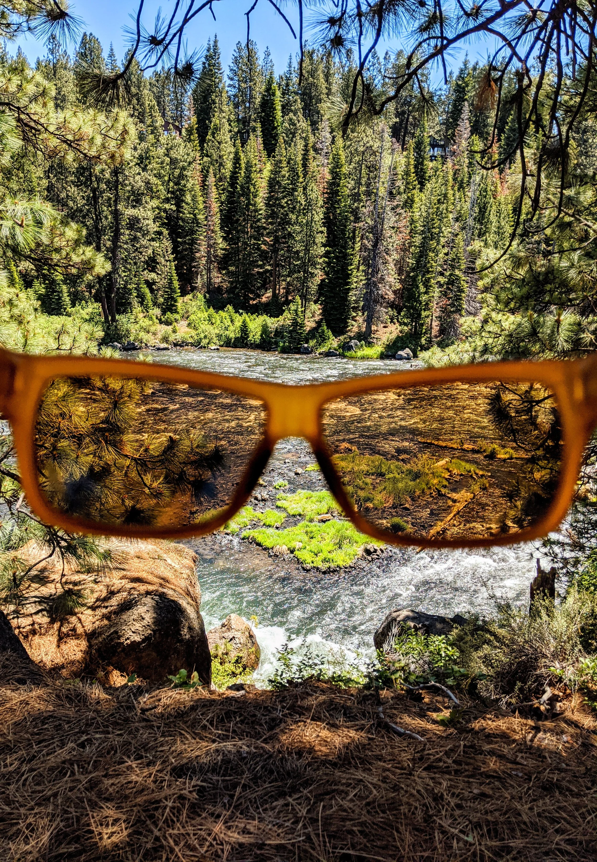 The World Around Me - Geoff Rhodes  (5).jpg