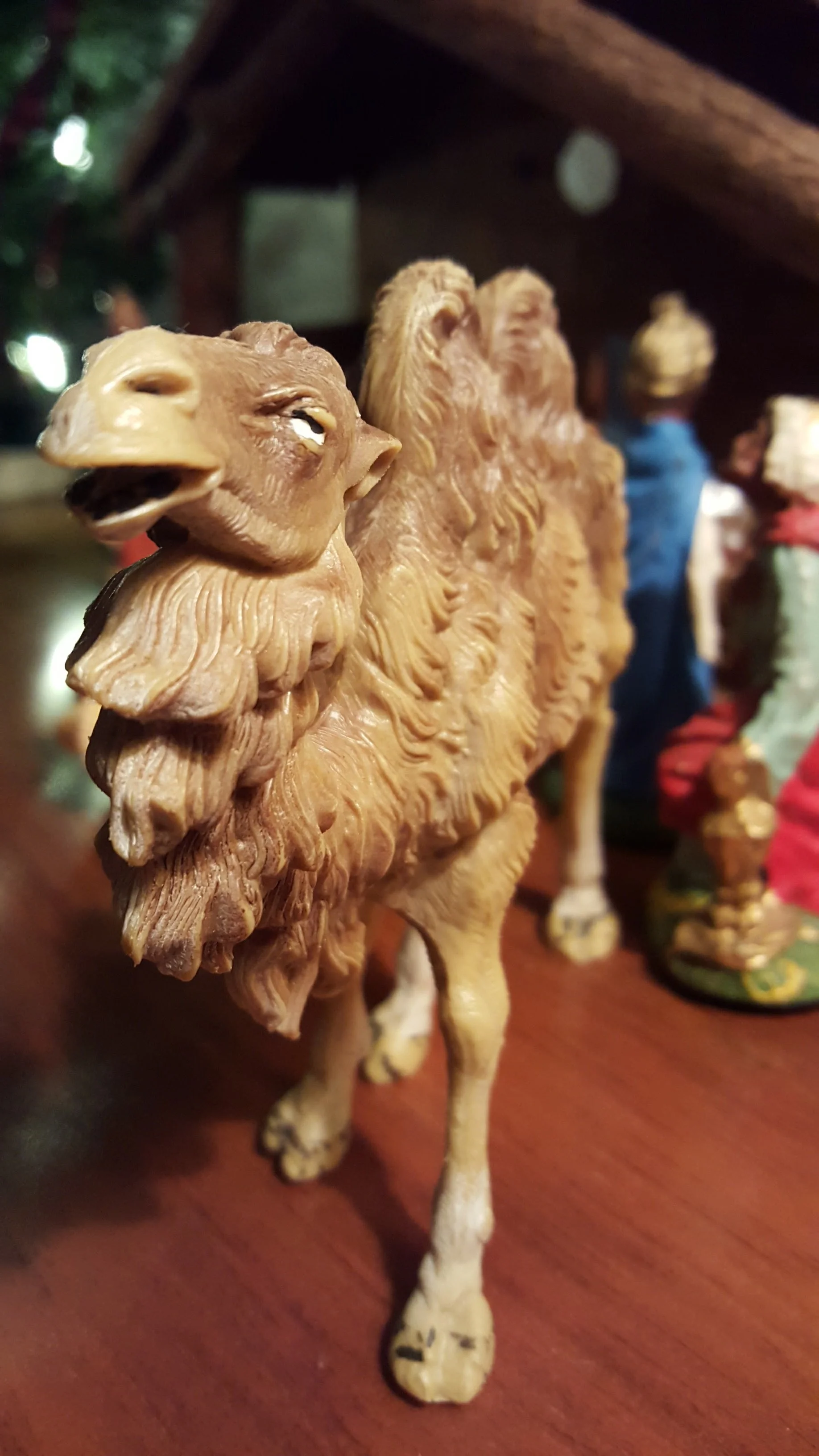 The World Around Me - Geoff Rhodes  (59).jpg