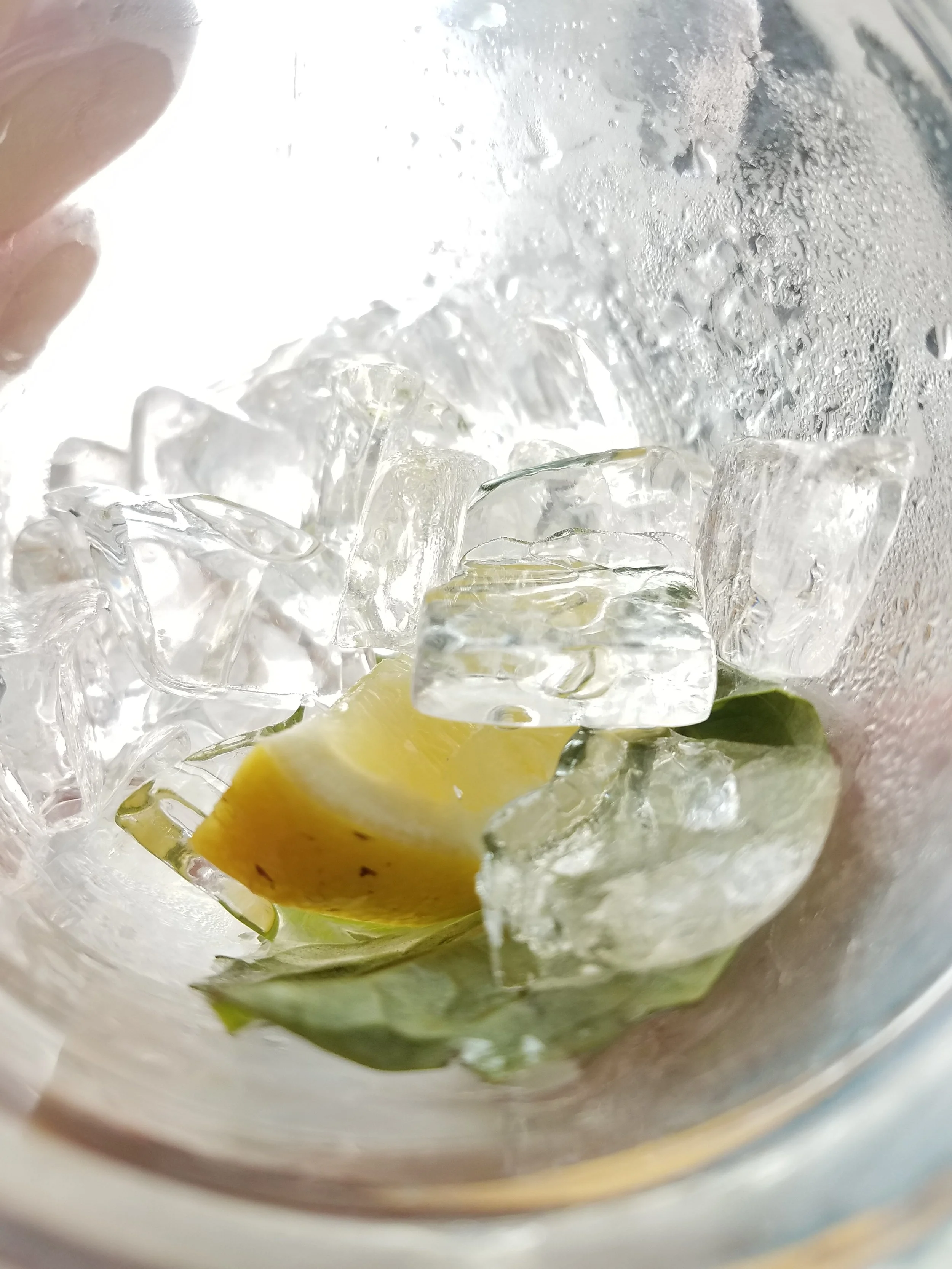 The World Around Me - Geoff Rhodes  (25).jpg