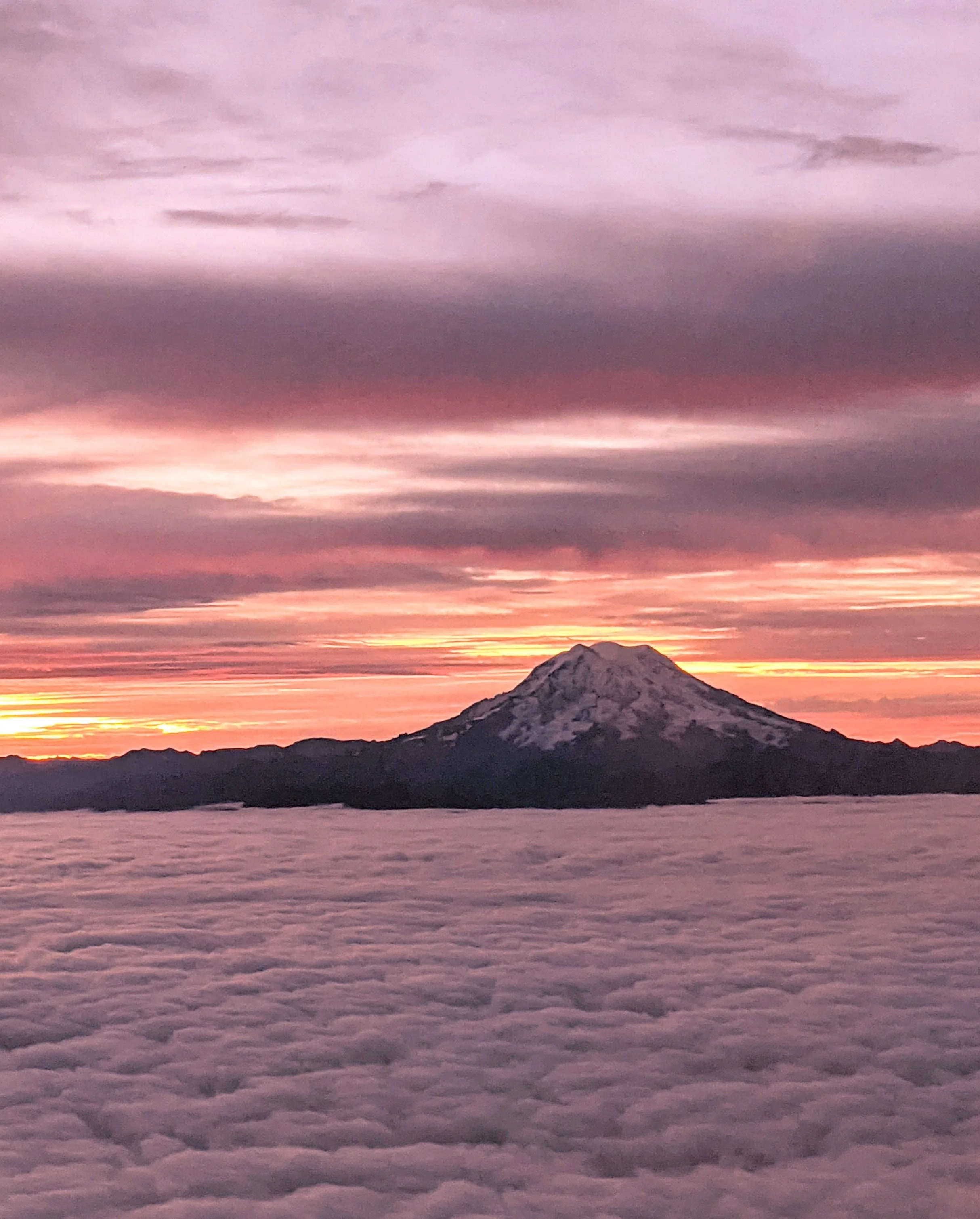 This is Your Captain Speaking - Geoff Rhodes (14).jpg