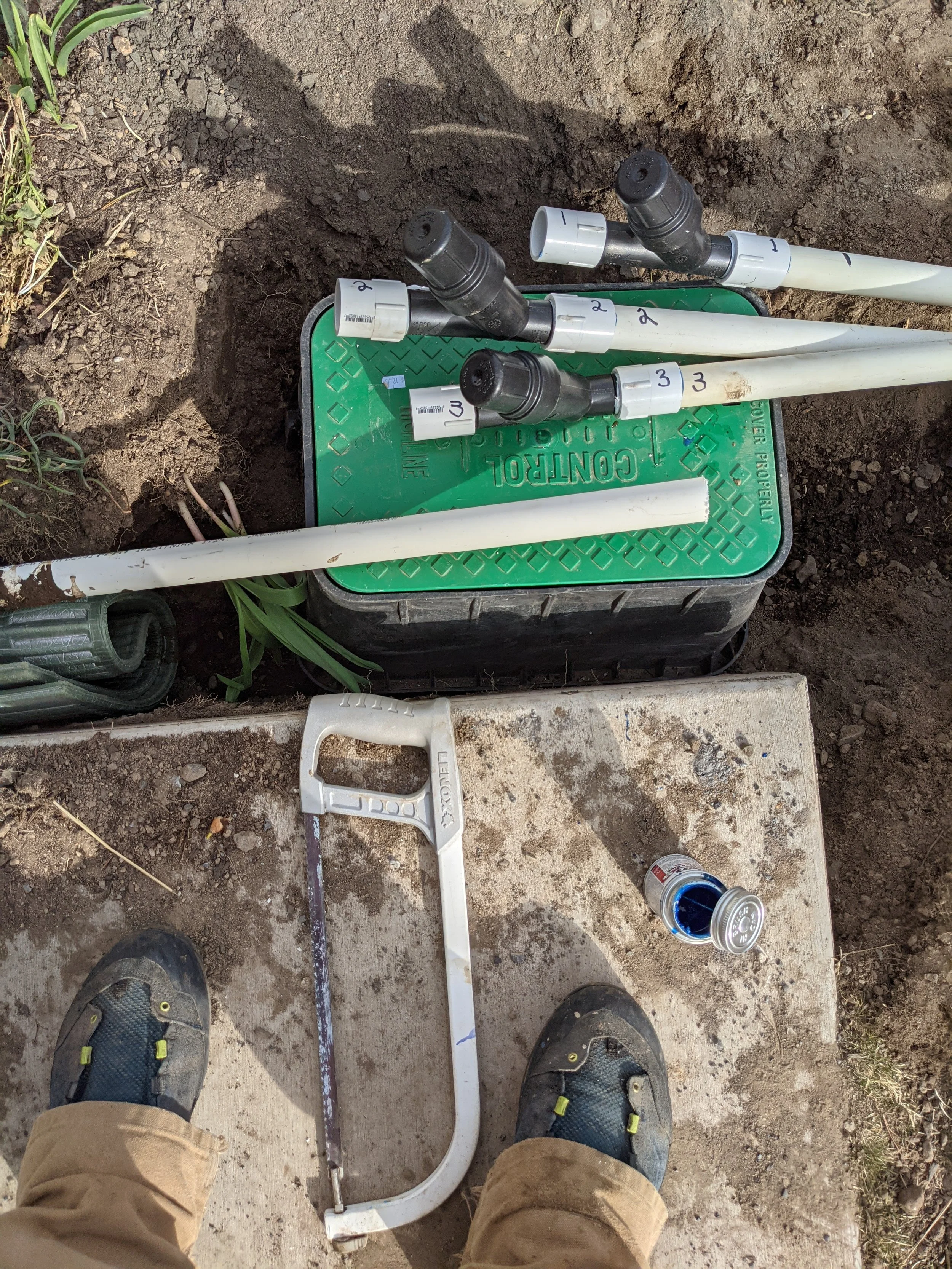 Tale of Two Soles - Geoff Rhodes (49).jpg