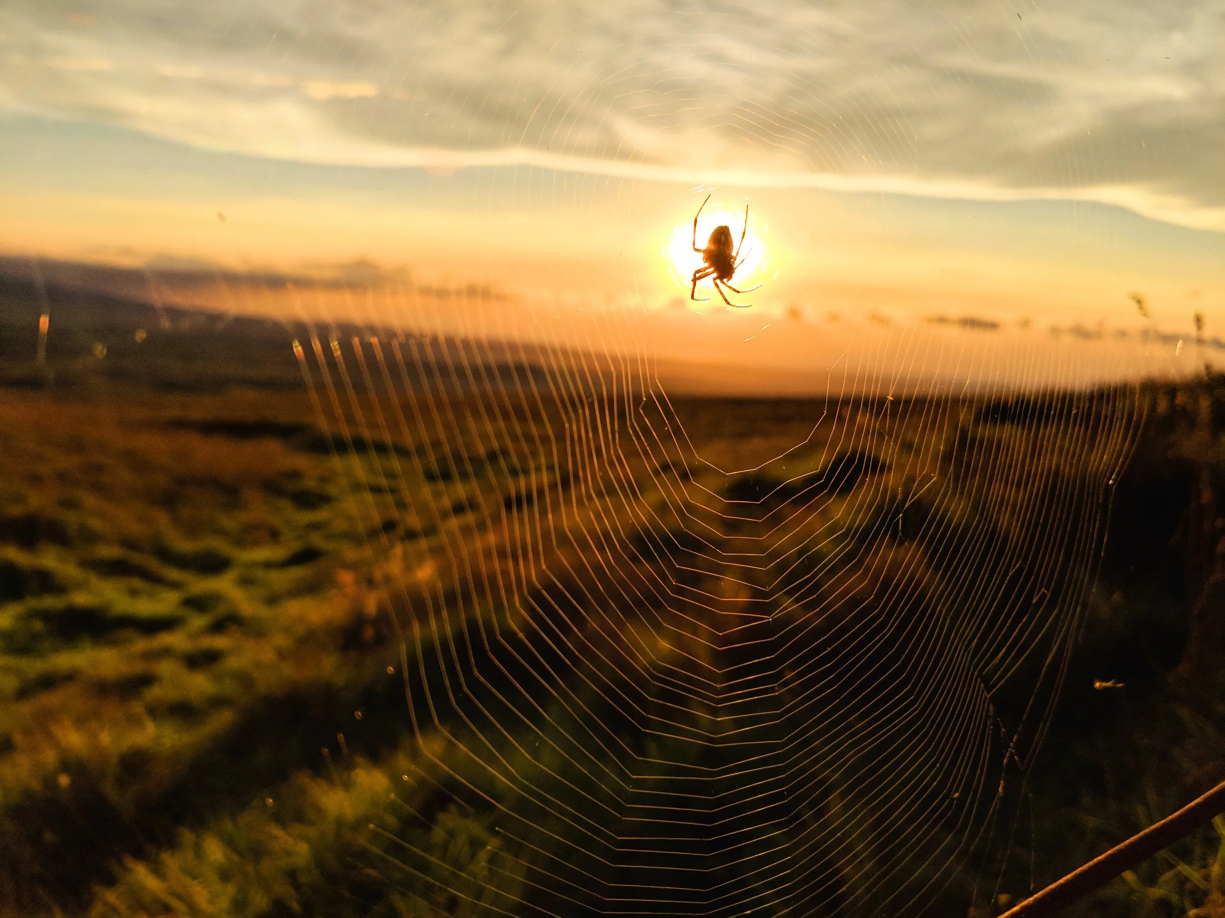 Composition - Geoff Rhodes (68).jpg