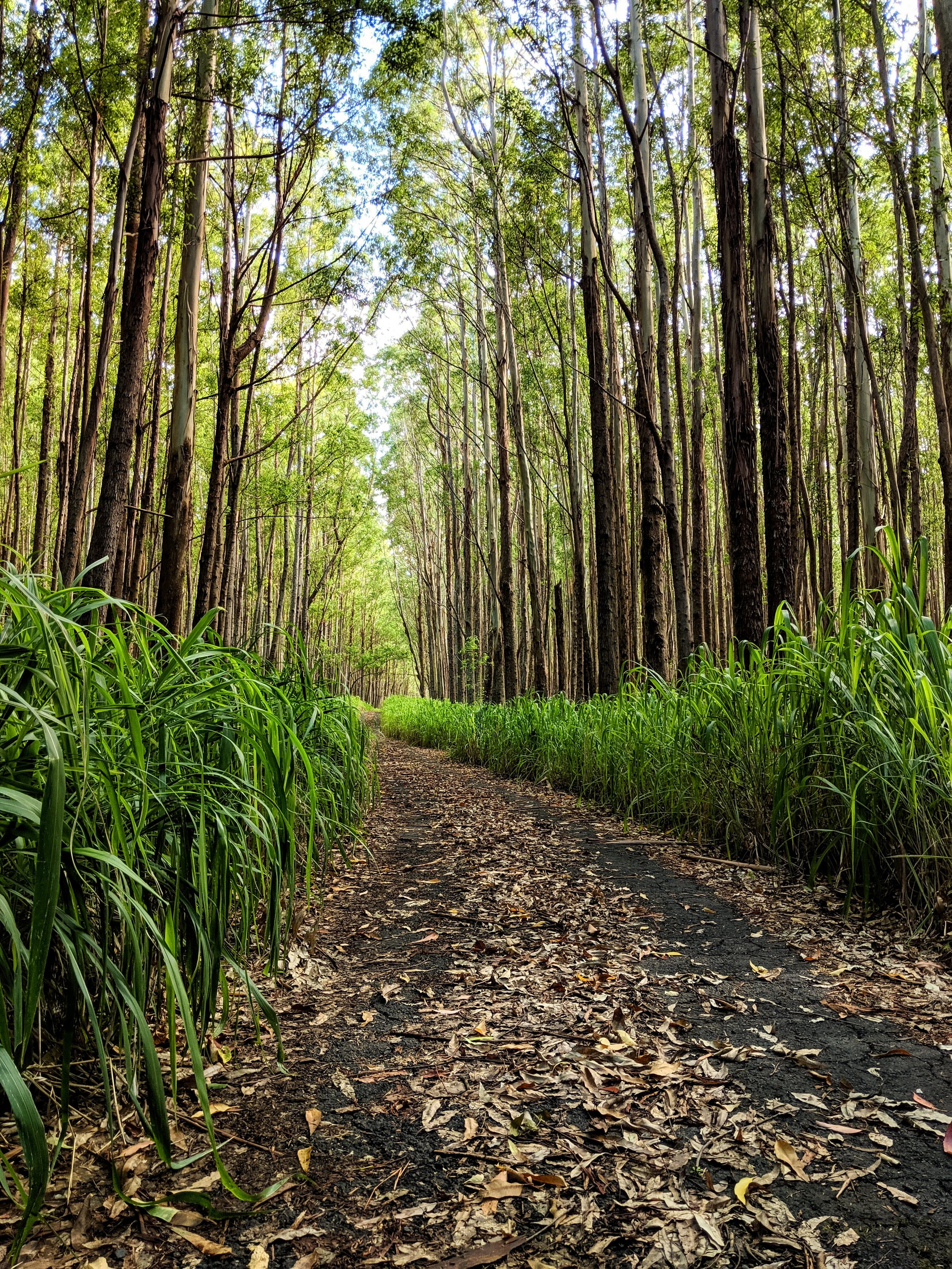 Life on the Road - Geoff Rhodes (7).jpg