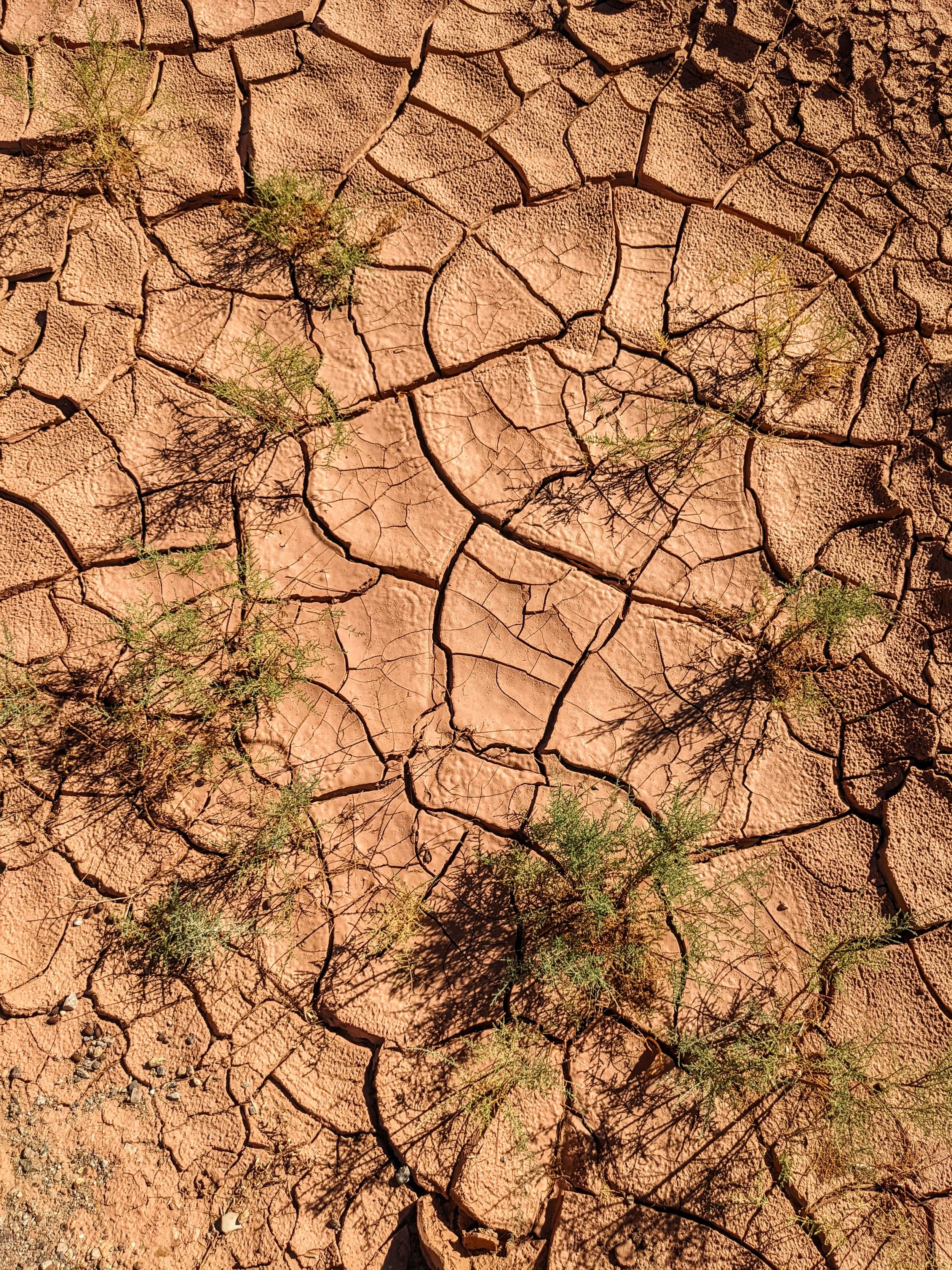 Desert Solitude - Exploration - Geoff Rhodes (9).jpg