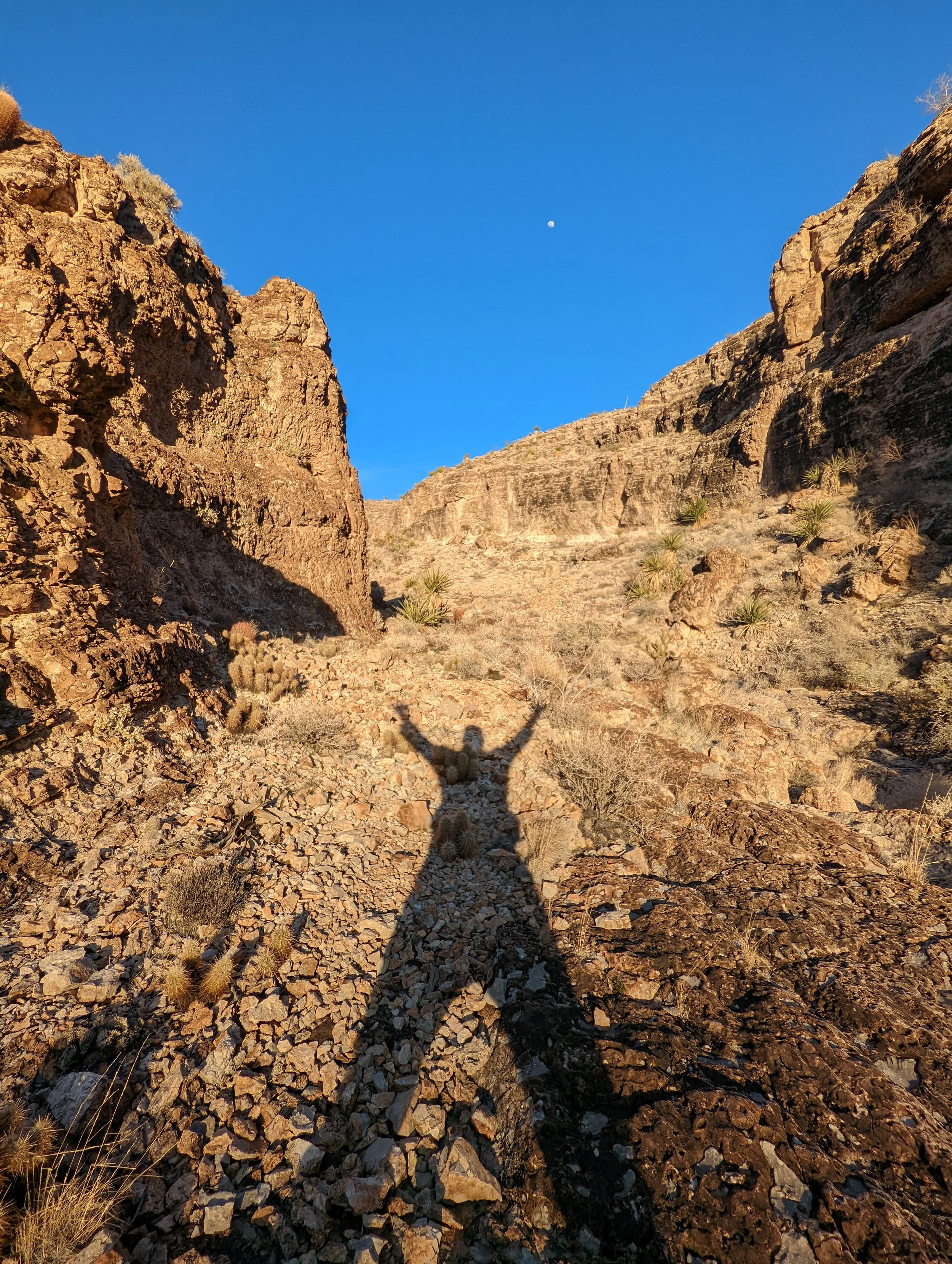 Shadow Games - v2 - Geoff Rhodes (6).jpg