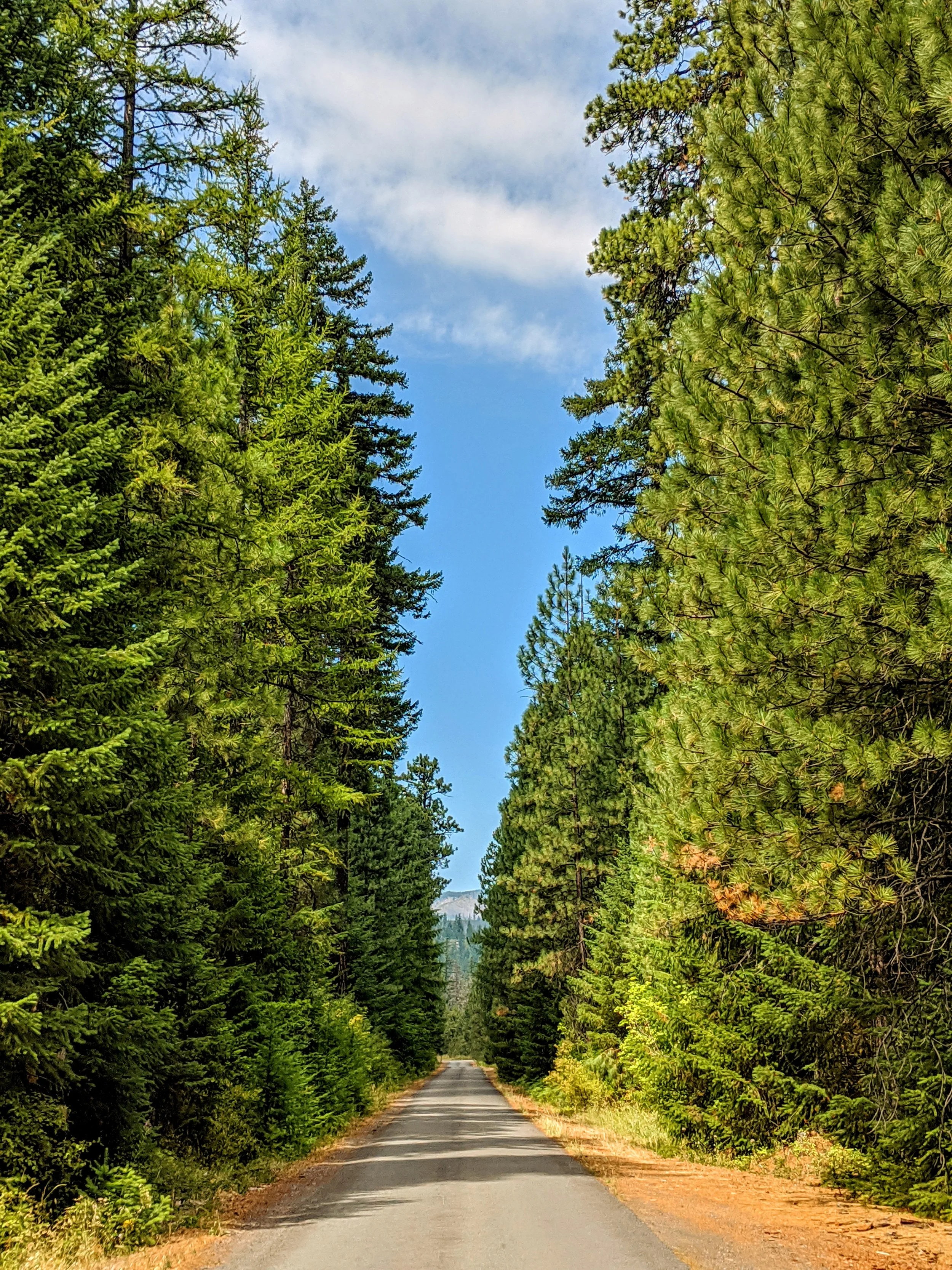 Life on the Road - Geoff Rhodes (36).jpg